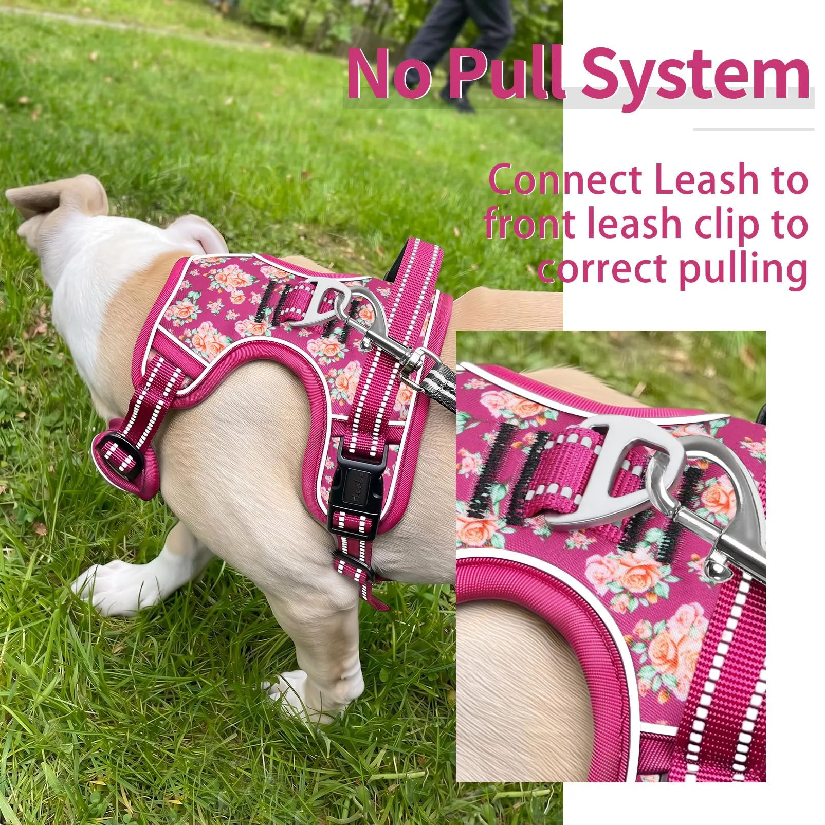 HEELE Pettorina Cane Riflettente No-pull Regolabile, Fiori-Rosso Rosa, L - immagine 5