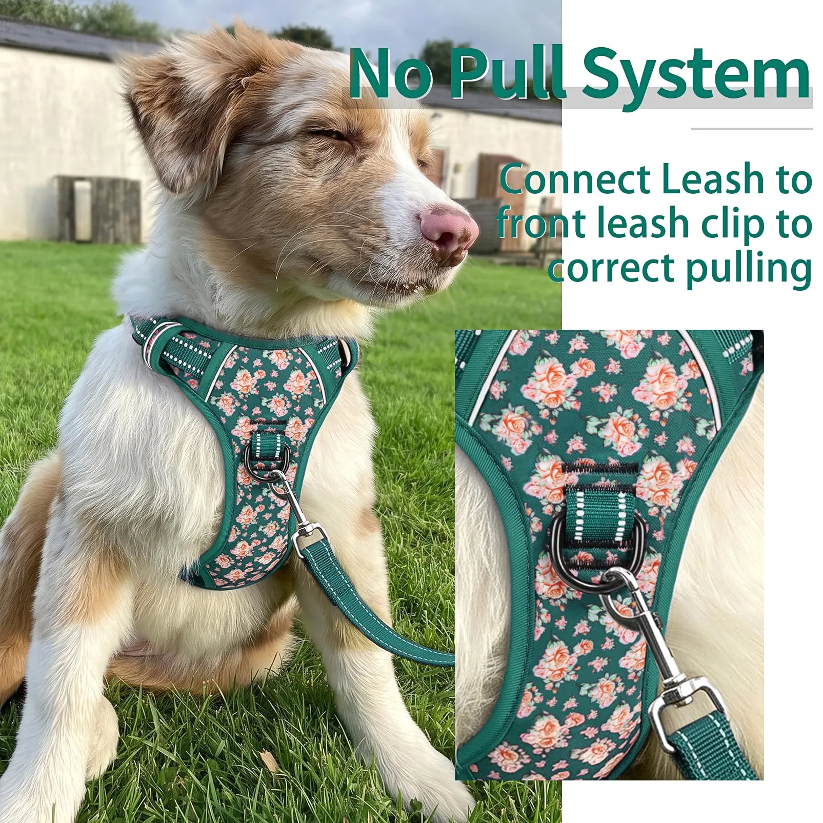 HEELE Pettorina Cane Riflettente No-pull Regolabile, Fiori-Verde Erba, S - immagine 4