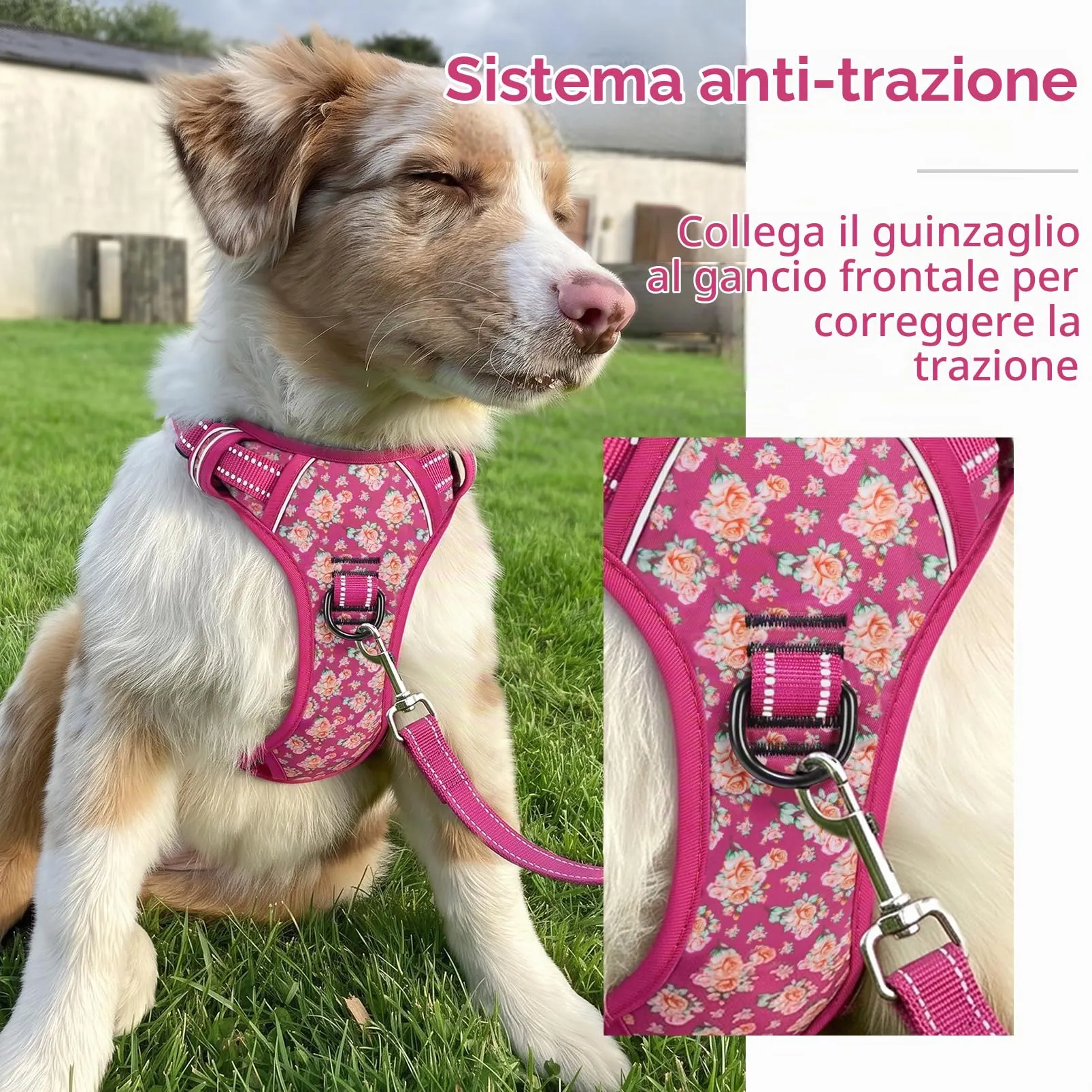 HEELE Pettorina Cane Riflettente No-pull Regolabile, Fiori-Rosso Rosa, M - immagine 5