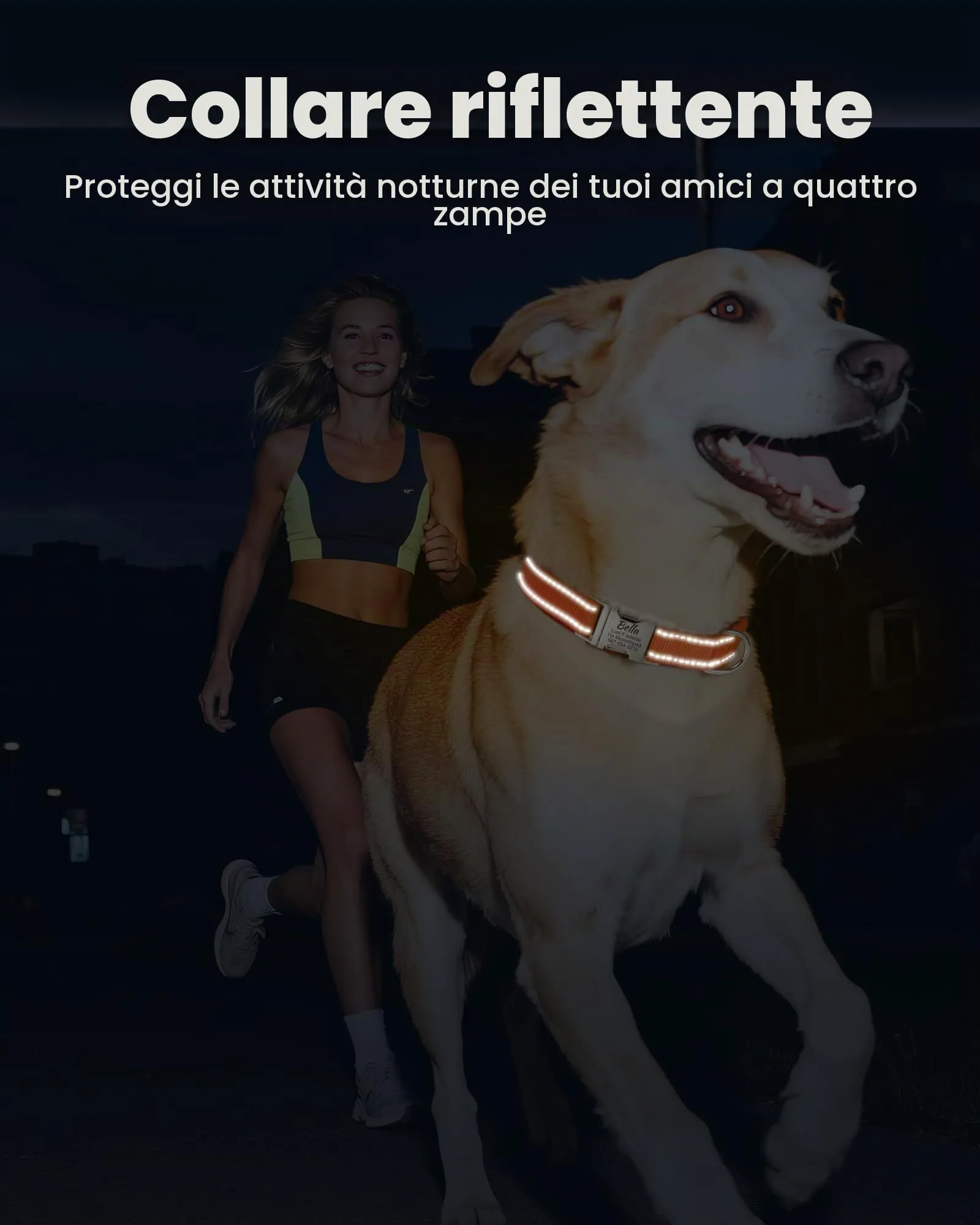 Collare per Cane Riflettente Personalizzato, Collana con nome e numero di telefono incisi, Fibbia Staccabile Durevole, Collari Di Regolabili per Cani Di Piccola, Media e Grande Taglia - immagine 3