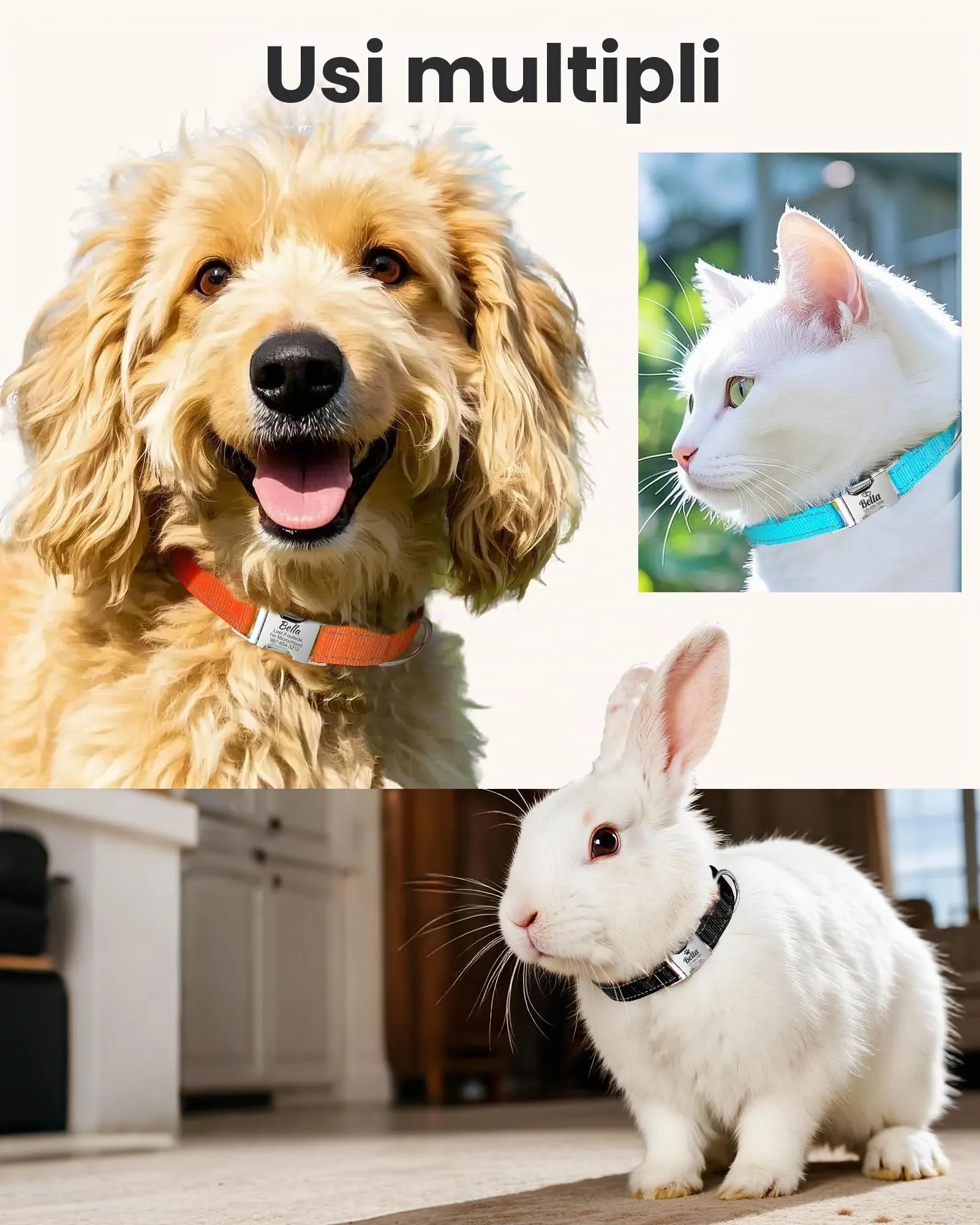 Collare per Cane Riflettente Personalizzato, Collana con nome e numero di telefono incisi, Fibbia Staccabile Durevole, Collari Di Regolabili per Cani Di Piccola, Media e Grande Taglia - immagine 6