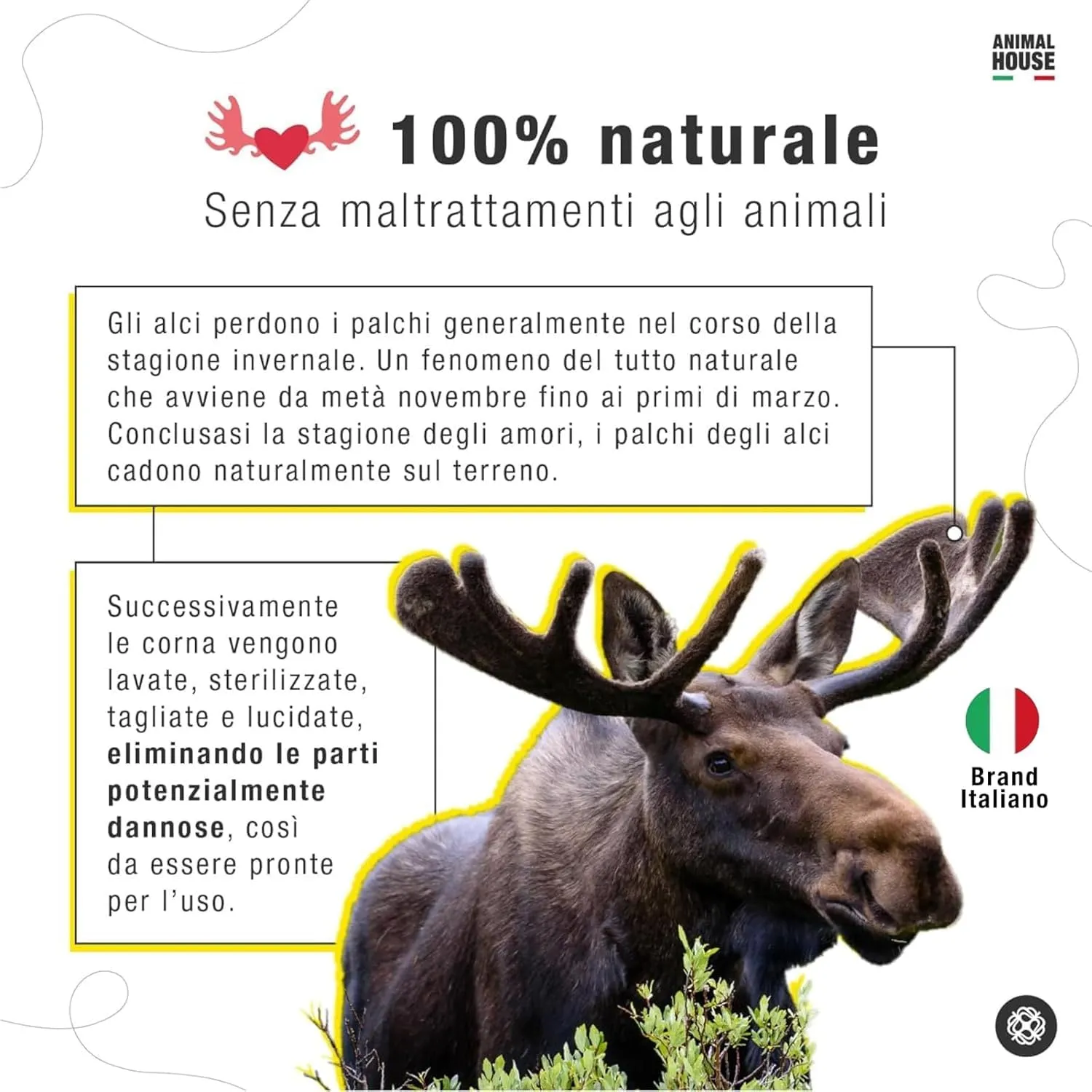 Animal House Corna di Alce per Cani, L - immagine 2