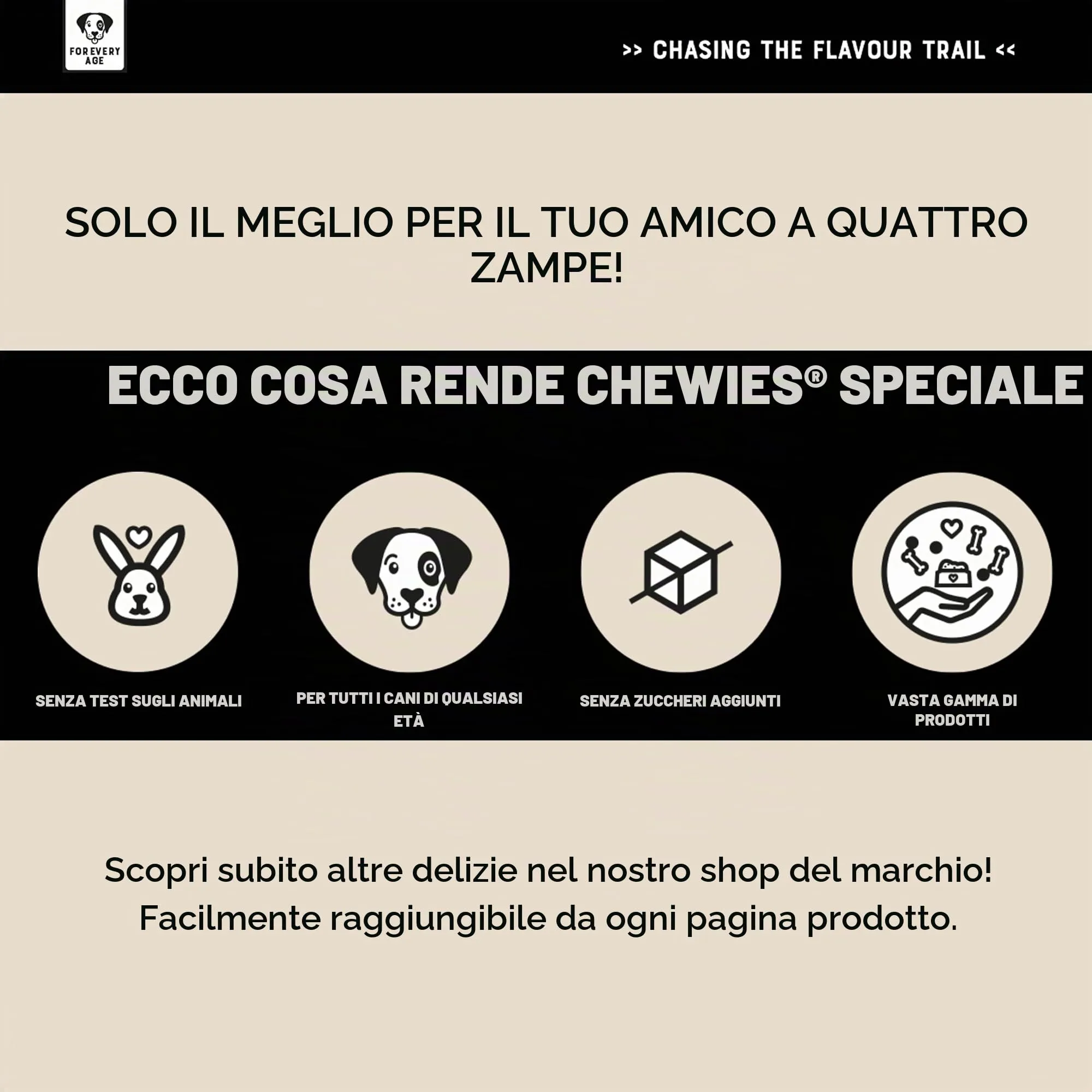 Chewies - Bastone da Masticare in Legno di Caffè per Cani, 100% Naturale, a Basso Rischio e Durevole, Misura XXS per Cani Fino a 3 kg - immagine 7