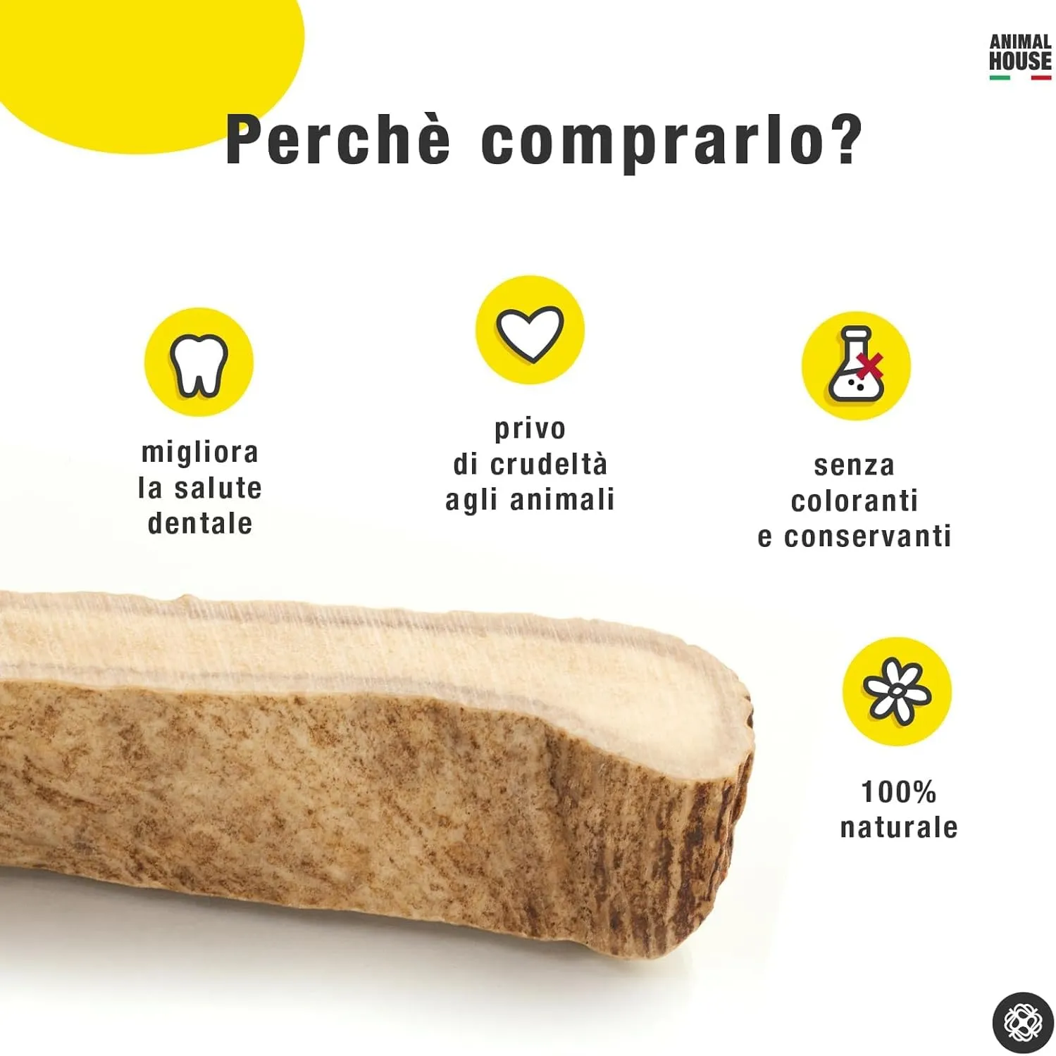 Animal House Corna di Alce per Cani, XL - immagine 4