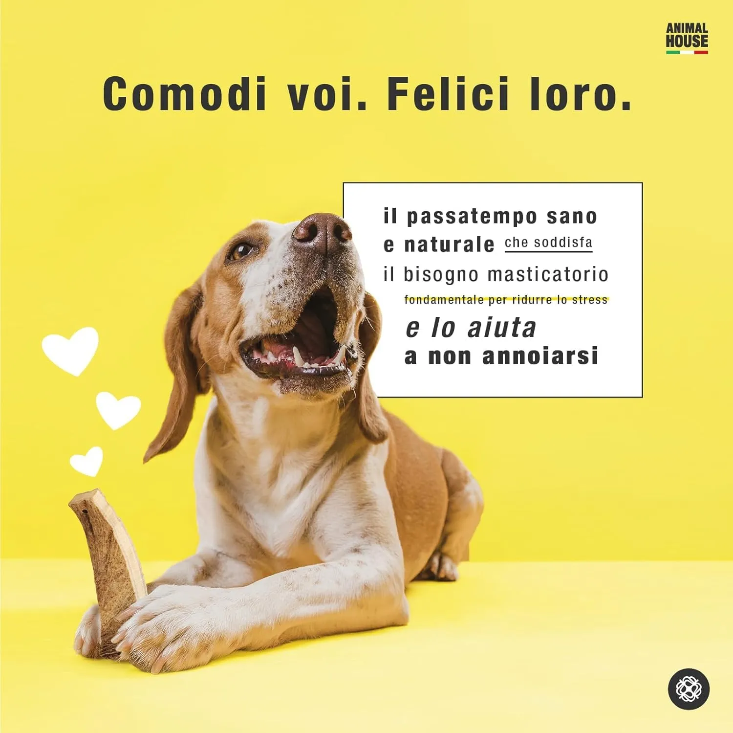 Animal House Corna di Alce per Cani, XL - immagine 5