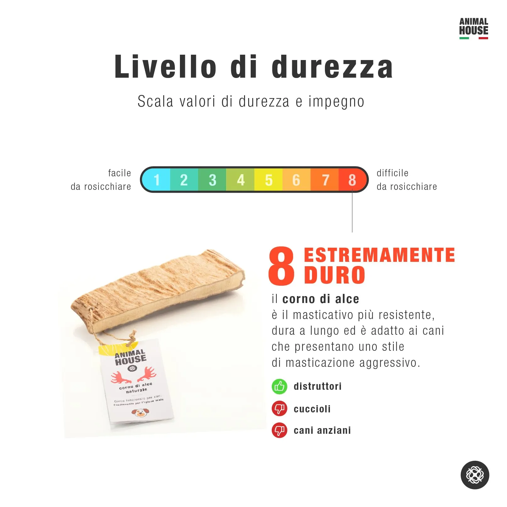 Animal House Corna di Alce per Cani, XL - immagine 7