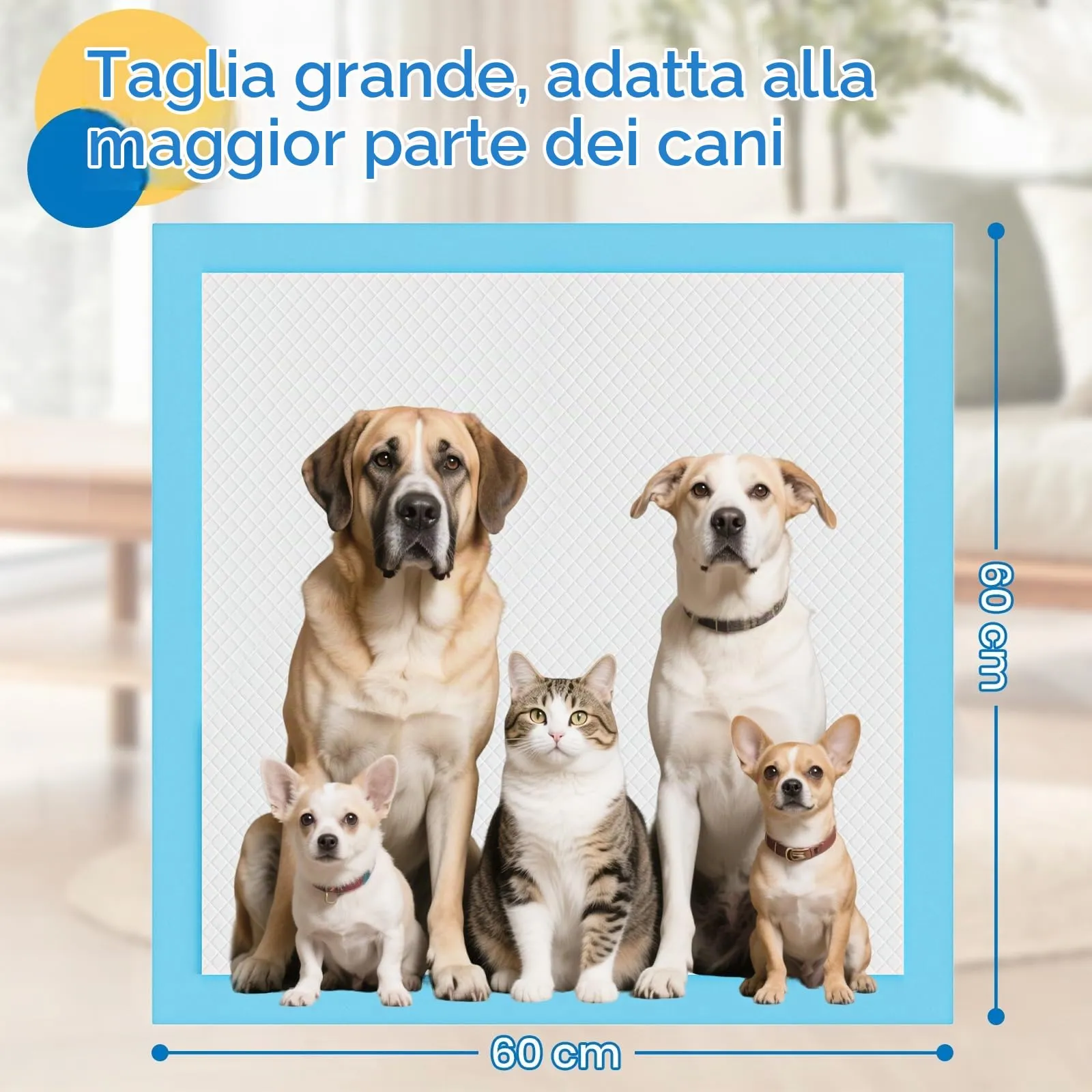 Barpor Traversine Cani 60x60cm Assorbenti Tappetini Igienici 20 Pezzi - immagine 6