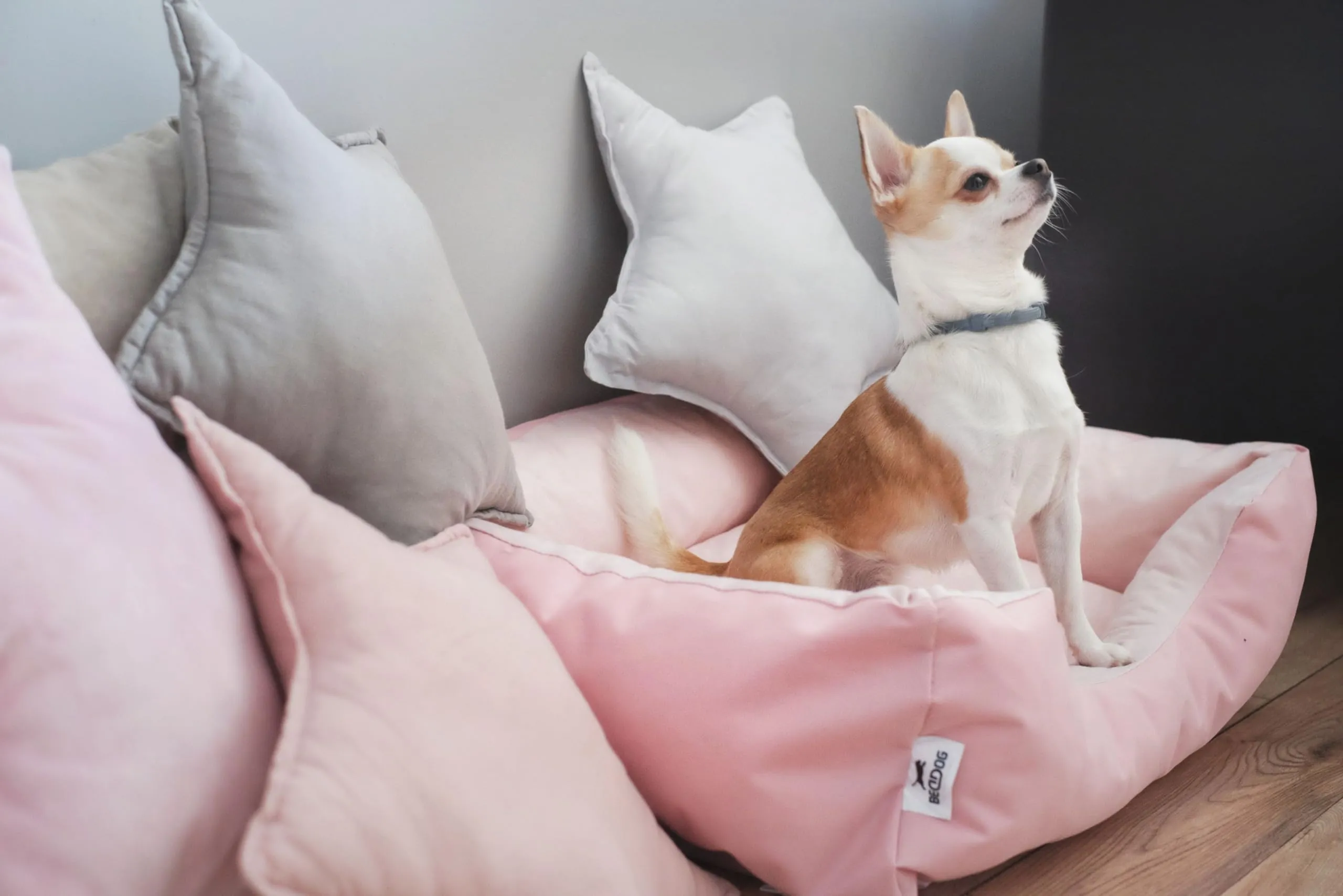 BedDog Cuscino per Cani ZARA Cuccia Lettino con Fodera Lavabile - immagine 5