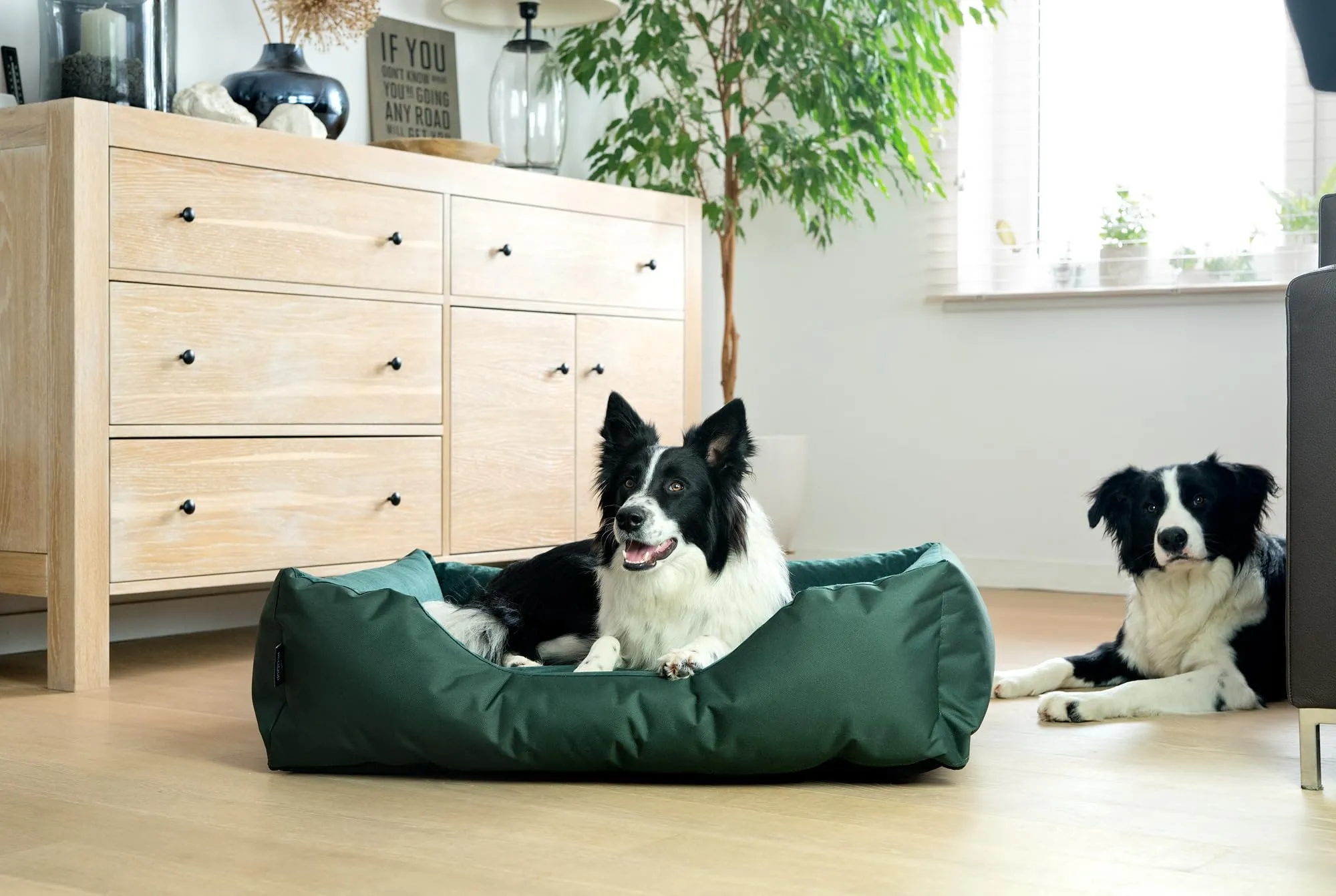 BedDog Cuscino per Cani ZARA Cuccia Lettino con Fodera Lavabile - immagine 5