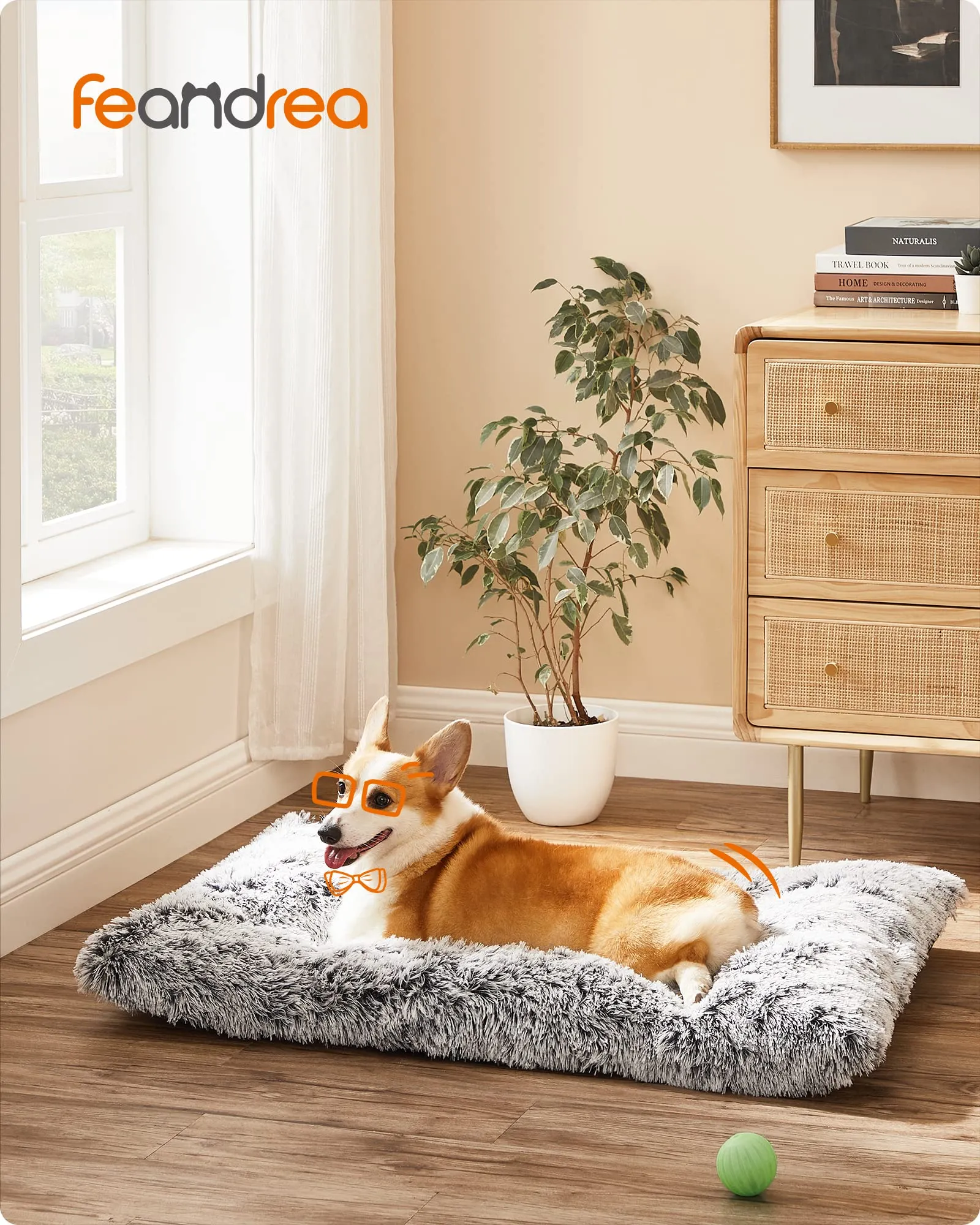 Feandrea Cuccia per Cani, Tappetino per Animali di Peluche Morbida, 95 x 60 cm, Imbottitura Soffice, Lavabile in Lavatrice, Cuscino per Cani Multiuso, Grigio Ombré PGW202G01 - immagine 2
