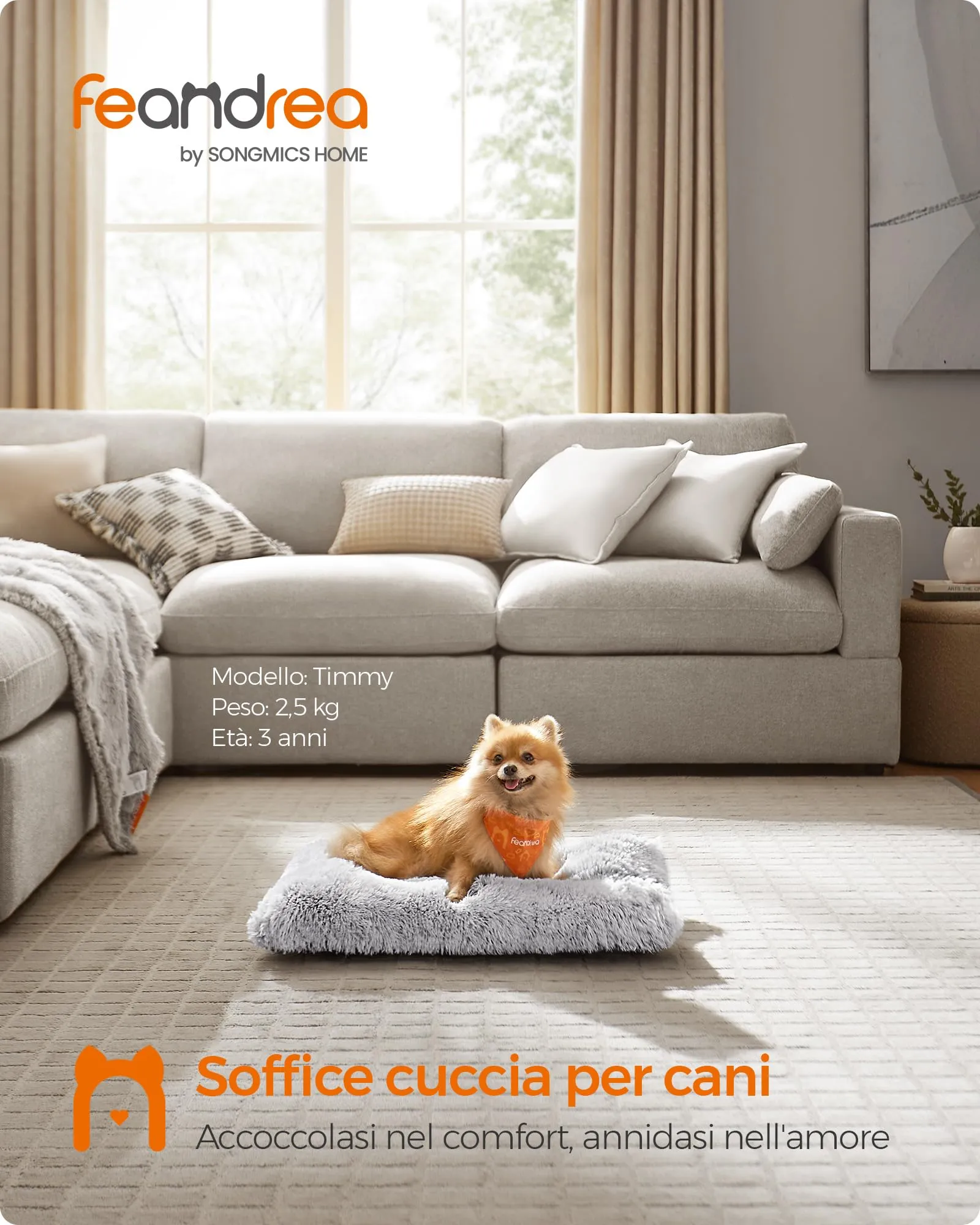 Feandrea Cuccia per Cani, Tappetino per Animali, 65 x 45 cm - immagine 2