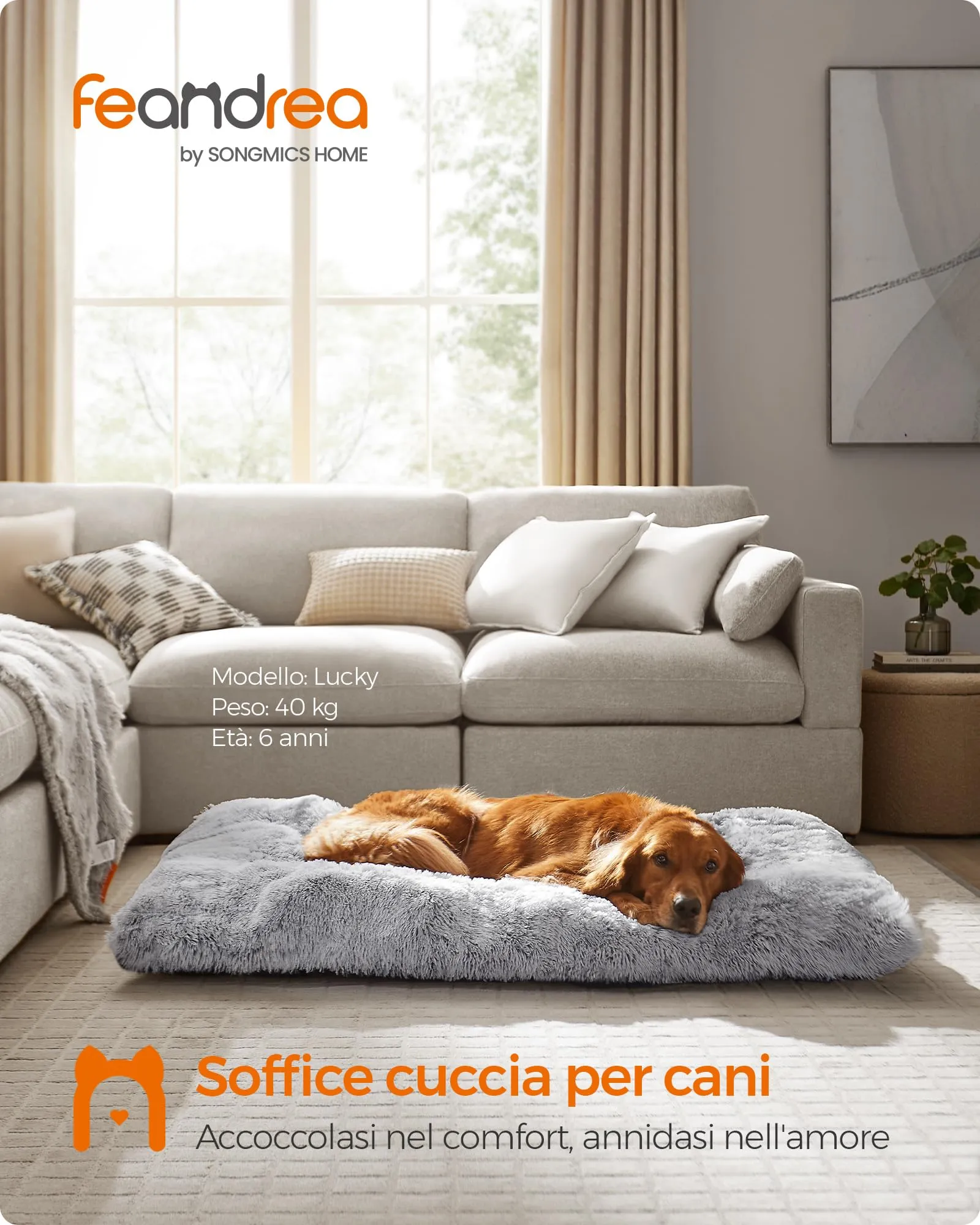 Feandrea Cuccia per Cani, Tappetino per Animali, 140 x 100 cm, Lavabile - immagine 2