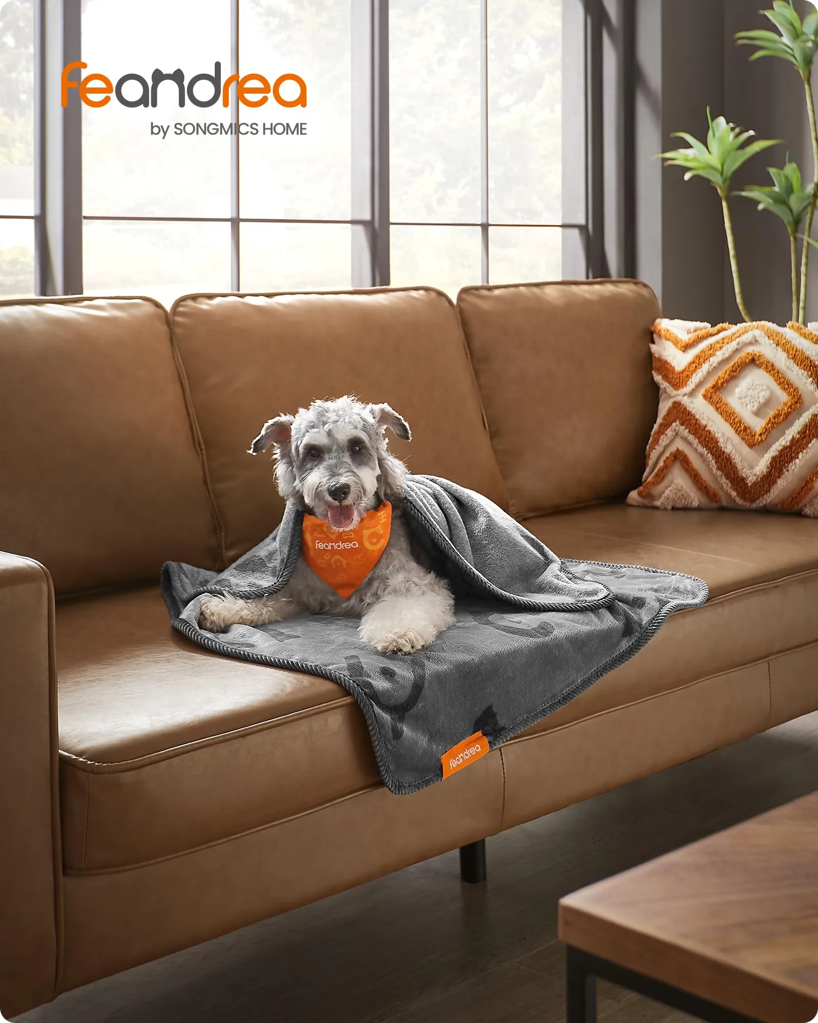 Feandrea Coperte per Animali Domestici, 3 Pezzi, in Flanella, 102 x 73 cm - immagine 2