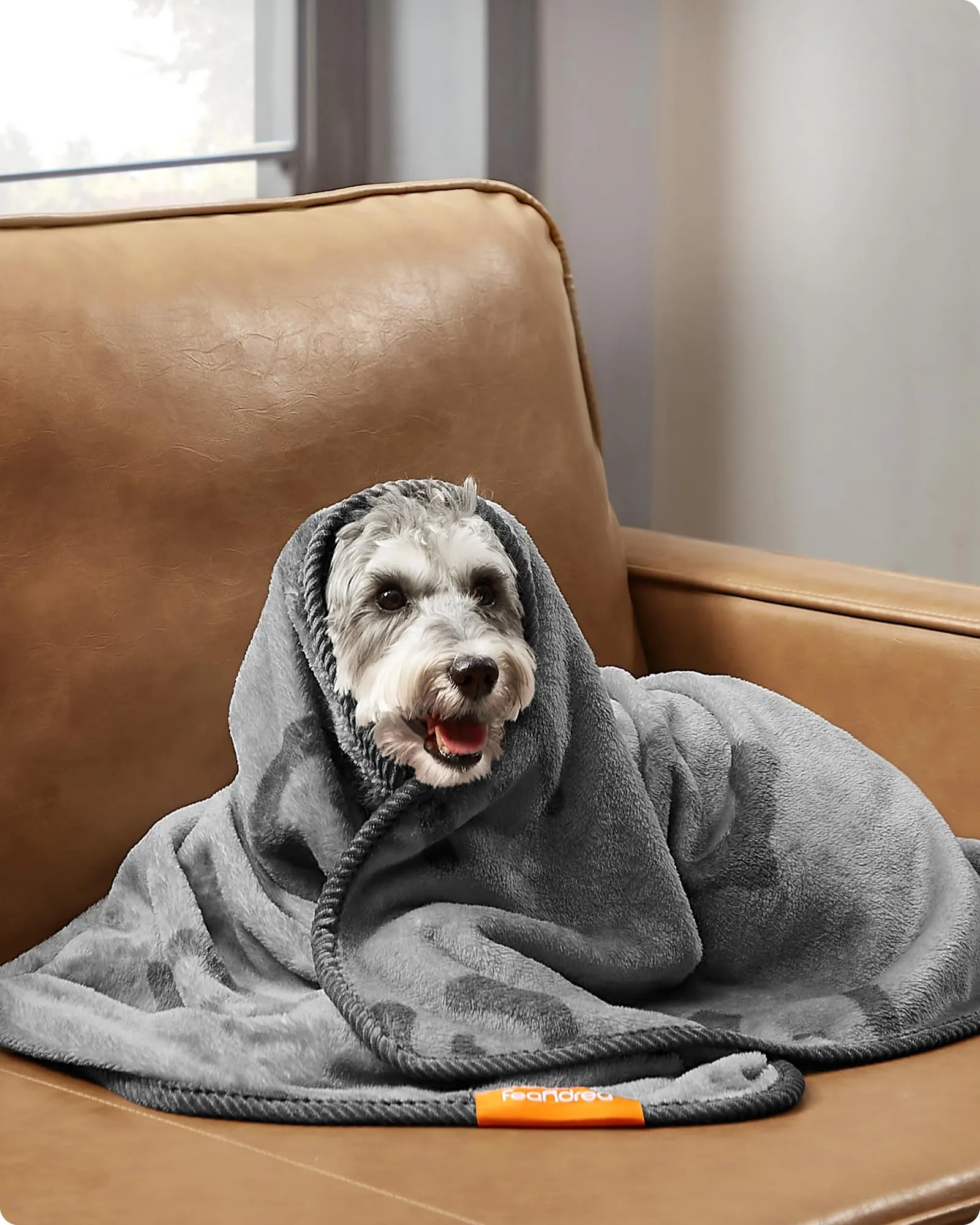 Feandrea Coperte per Animali Domestici, 3 Pezzi, in Flanella, 102 x 73 cm - immagine 3