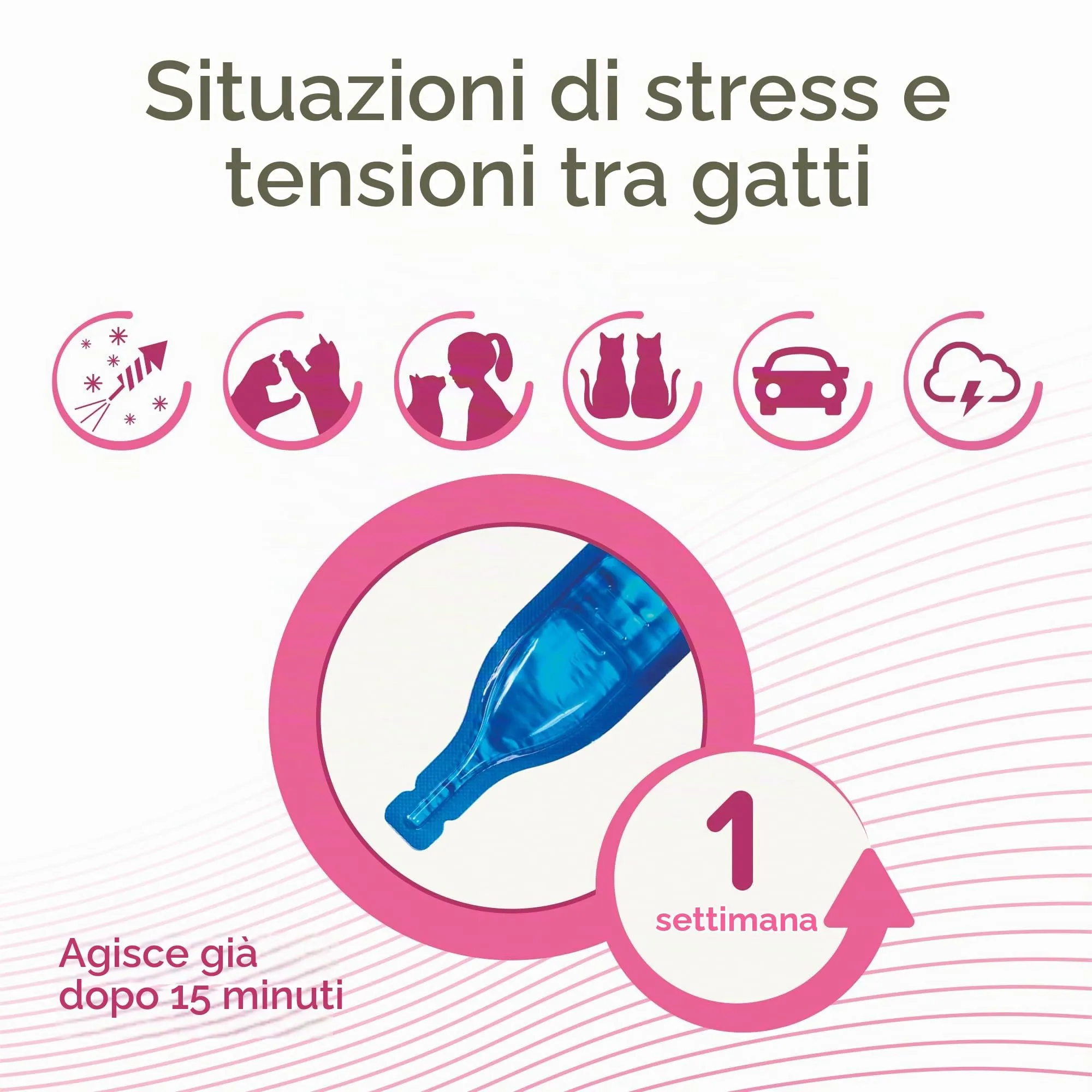 Beaphar - CatComfort Calming Spot-On - Riduce l'ansia e lo stress - Azione Rapida - Inizia a lavorare in 15 minuti - Ideale per eventi a breve termine come fuochi d'artificio - Promuove l'incollaggio - immagine 3