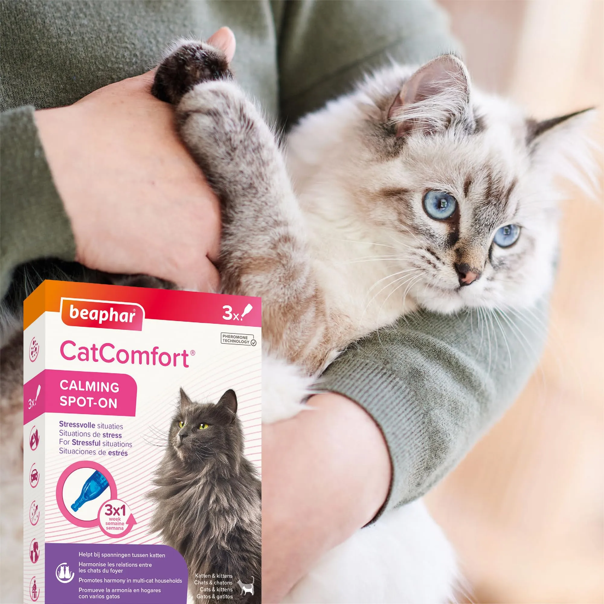 Beaphar - CatComfort Calming Spot-On - Riduce l'ansia e lo stress - Azione Rapida - Inizia a lavorare in 15 minuti - Ideale per eventi a breve termine come fuochi d'artificio - Promuove l'incollaggio - immagine 6