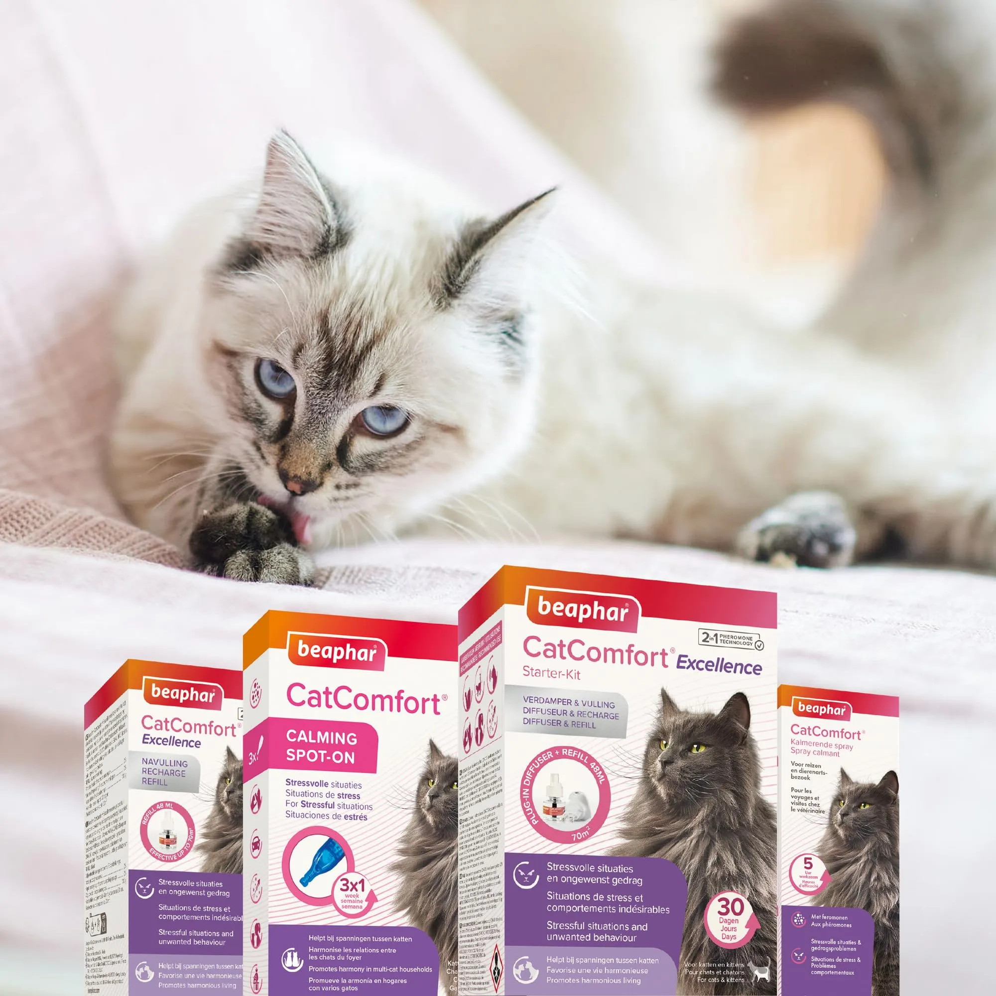 Beaphar - CatComfort Calming Spot-On - Riduce l'ansia e lo stress - Azione Rapida - Inizia a lavorare in 15 minuti - Ideale per eventi a breve termine come fuochi d'artificio - Promuove l'incollaggio - immagine 7