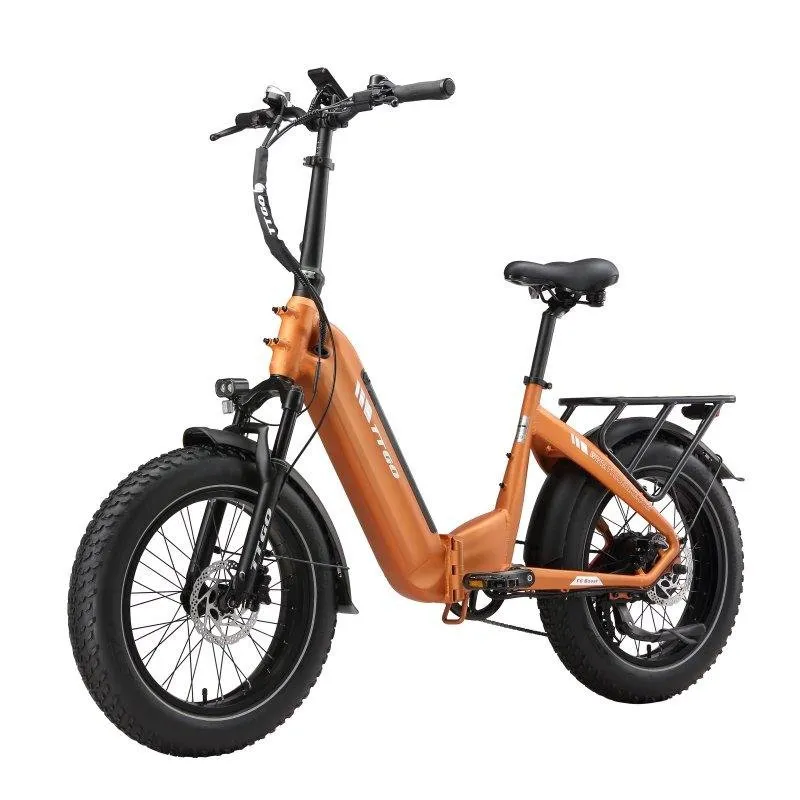 Bicicletta Elettrica TTGO F6 Boost 48V 18Ah 25 km/h - immagine 1