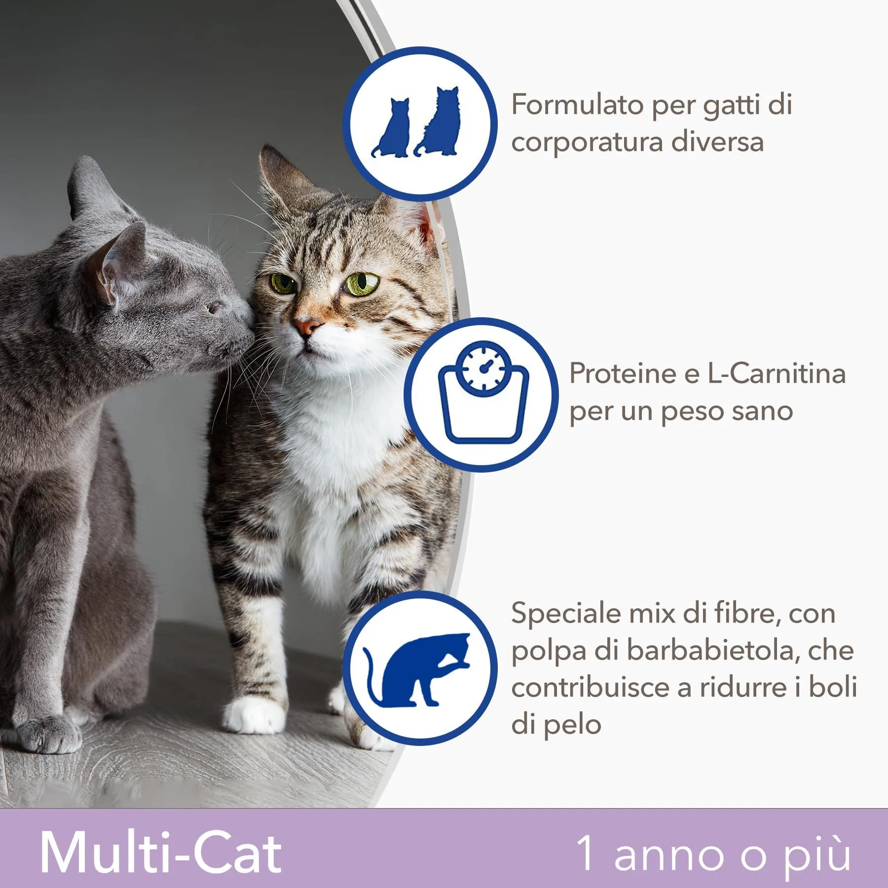 IAMS Multi-Cat - Cibo Secco per Gatti Adulti e Anziani, 15 kg - immagine 2
