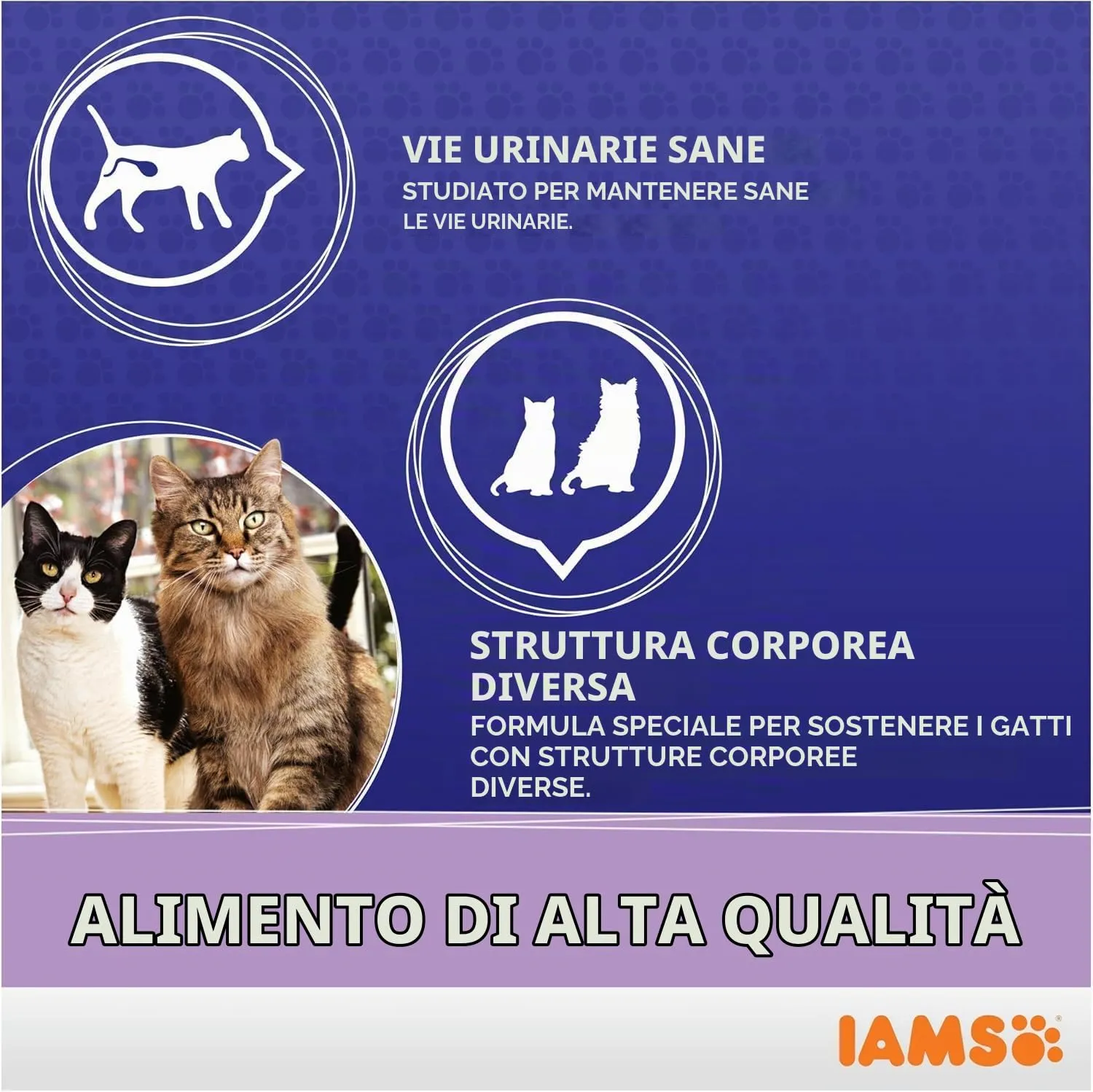 IAMS Multi-Cat - Cibo Secco per Gatti Adulti e Anziani, 15 kg - immagine 5