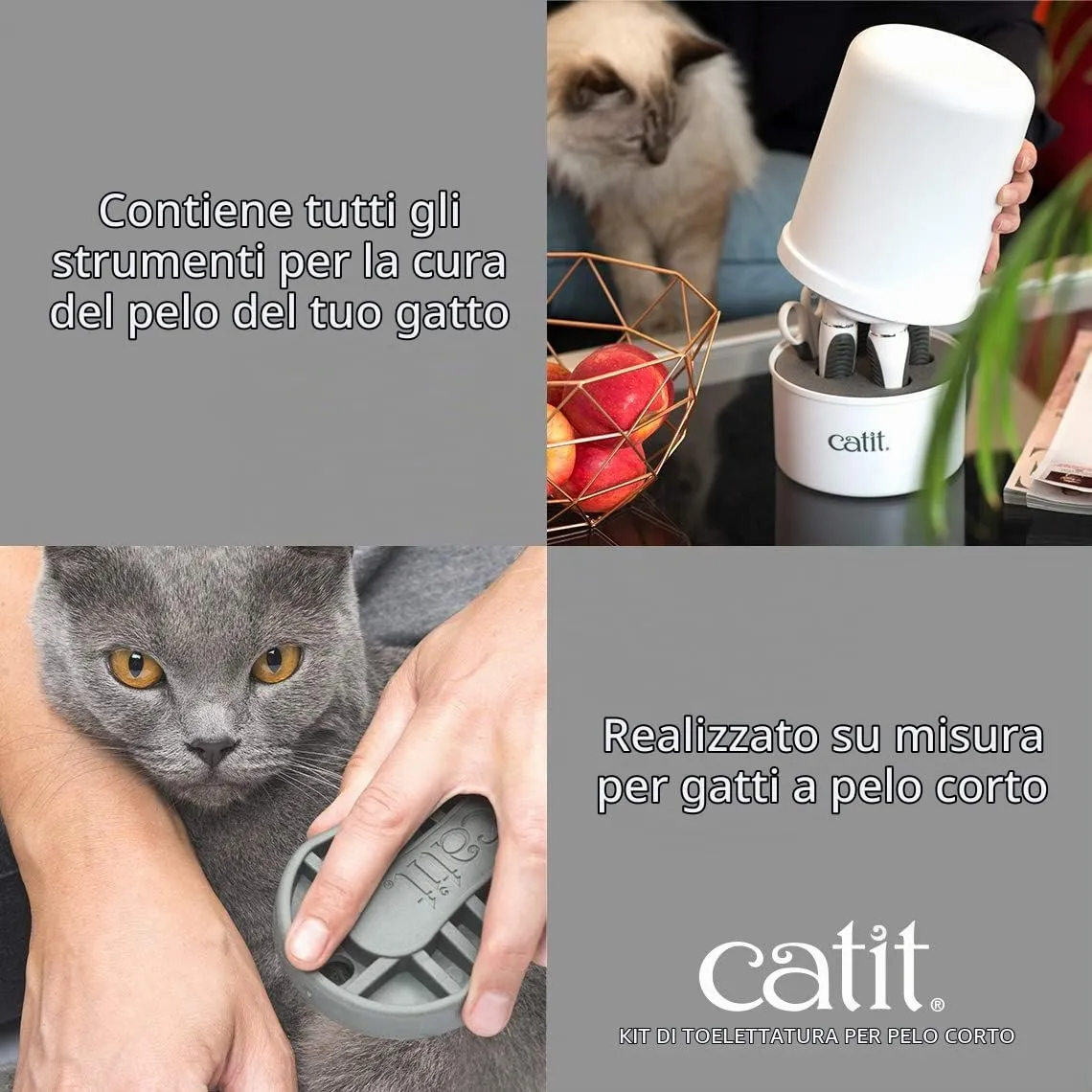 Catit Set di Spazzole per Gatti a Pelo Corto - immagine 4