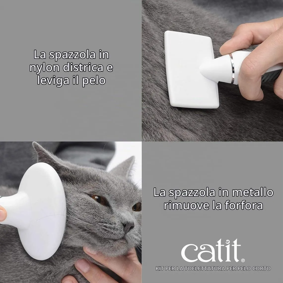 Catit Set di Spazzole per Gatti a Pelo Corto - immagine 6