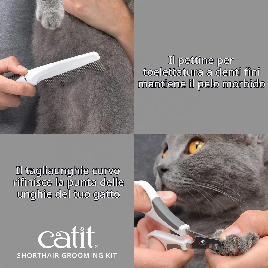 Catit Set di Spazzole per Gatti a Pelo Corto - immagine 7
