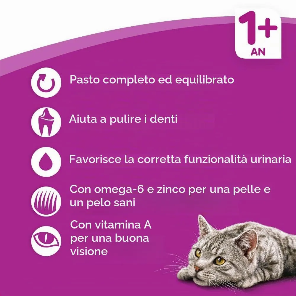 Whiskas Crocchette Ripiene per Gatto - Gusto Pollo - 7 kg - immagine 2