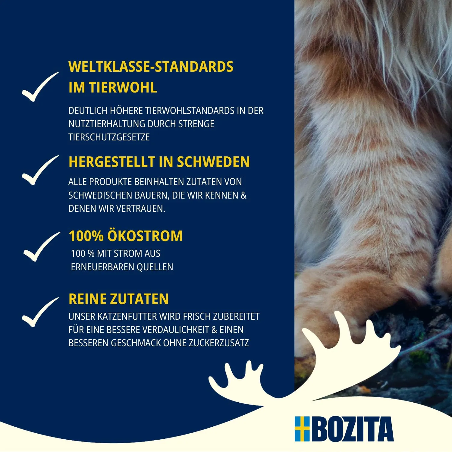 Bozita Mousse renna – 12 x 85 g di cibo umido per gatti con texture di mousse fine con renna – formula senza cereali, senza zuccheri aggiunti e coloranti – con postbiotici per sostenere la microflora - immagine 5