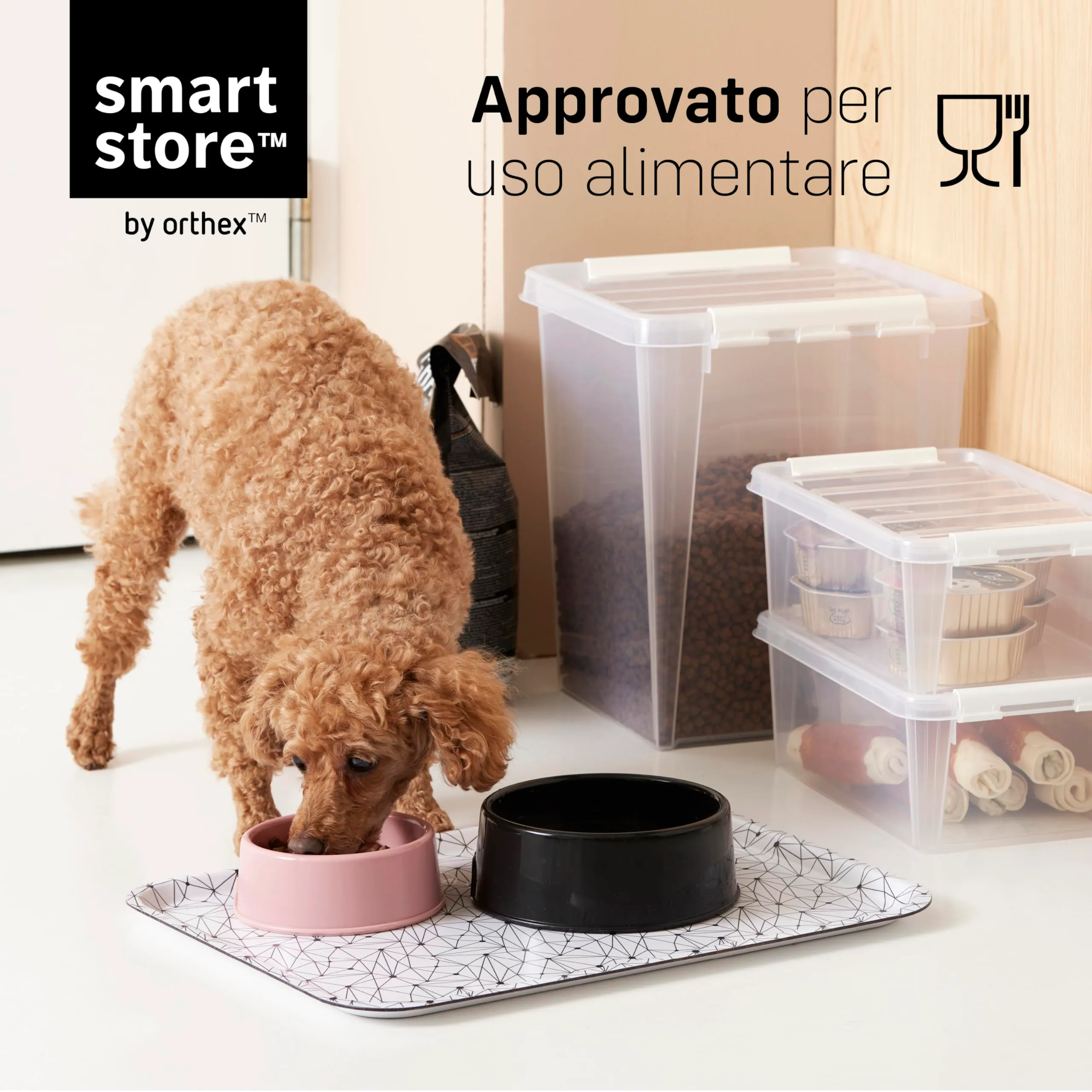 SmartStore Scatole Portaoggetti con Coperchio | 10x piccole 2L | 21x17x11cm - immagine 5