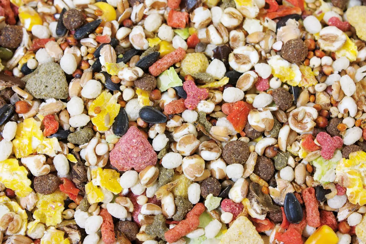 JR FARM Ratten-Schmaus 2,5 kg - immagine 2