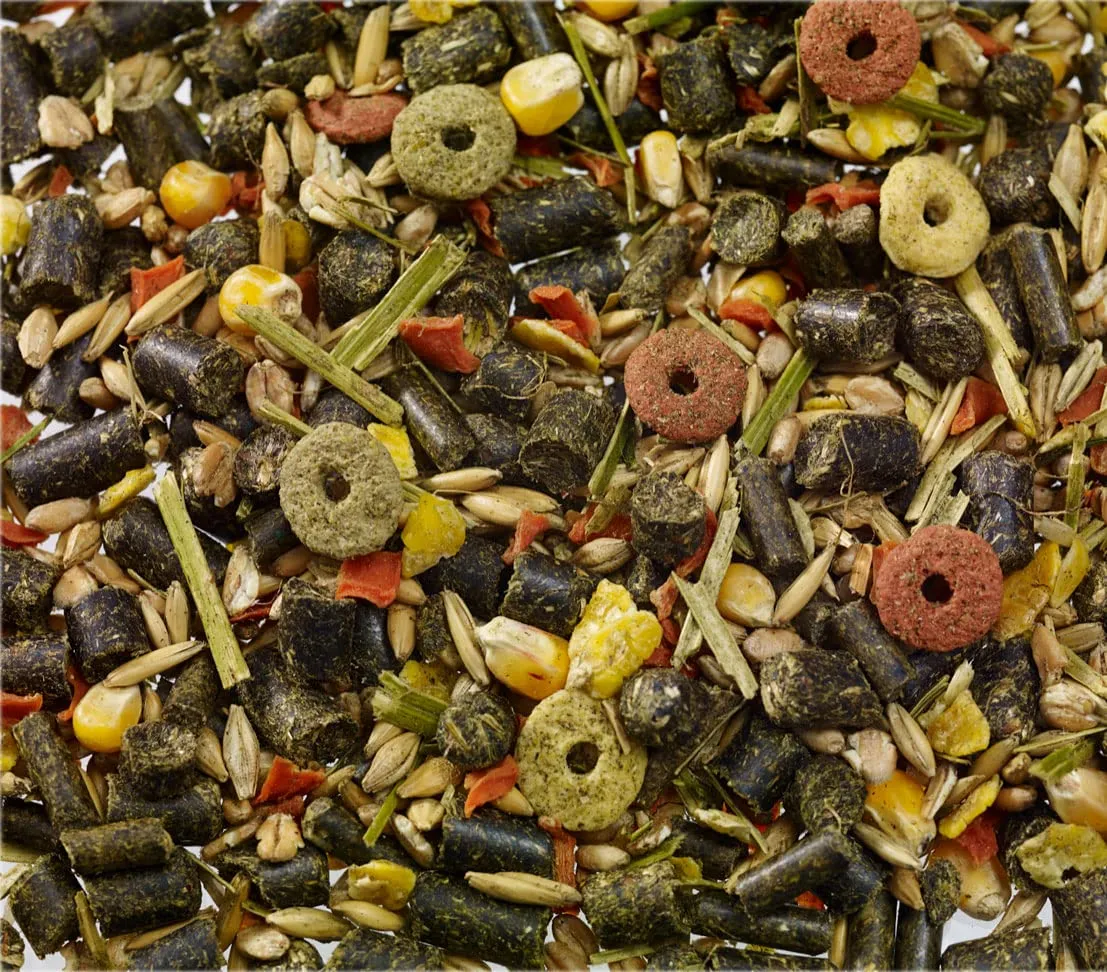 Dehner, mangime per porcellini d'India, 5 kg - immagine 5