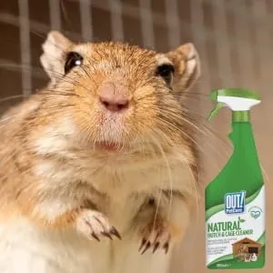 OUT! Gabbia naturale e detergente spray Hutch, 500 ml - immagine 5