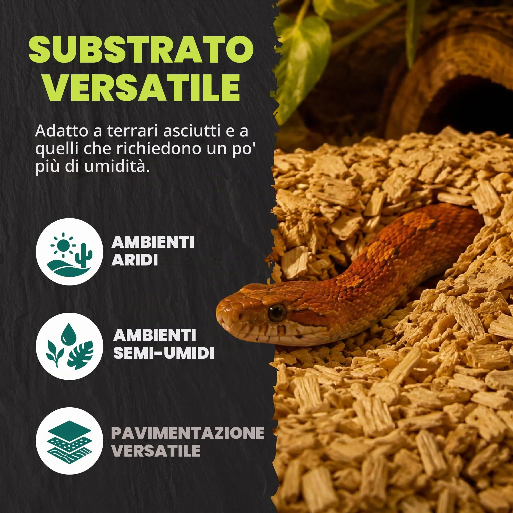 Komodo Substrato di faggio Grosso per Gabbia di rettili, Vivarium Habitat, Naturale, Non tossico, Durevole, a Lunga Durata, Controllo dell'umidità, 12 l - immagine 5