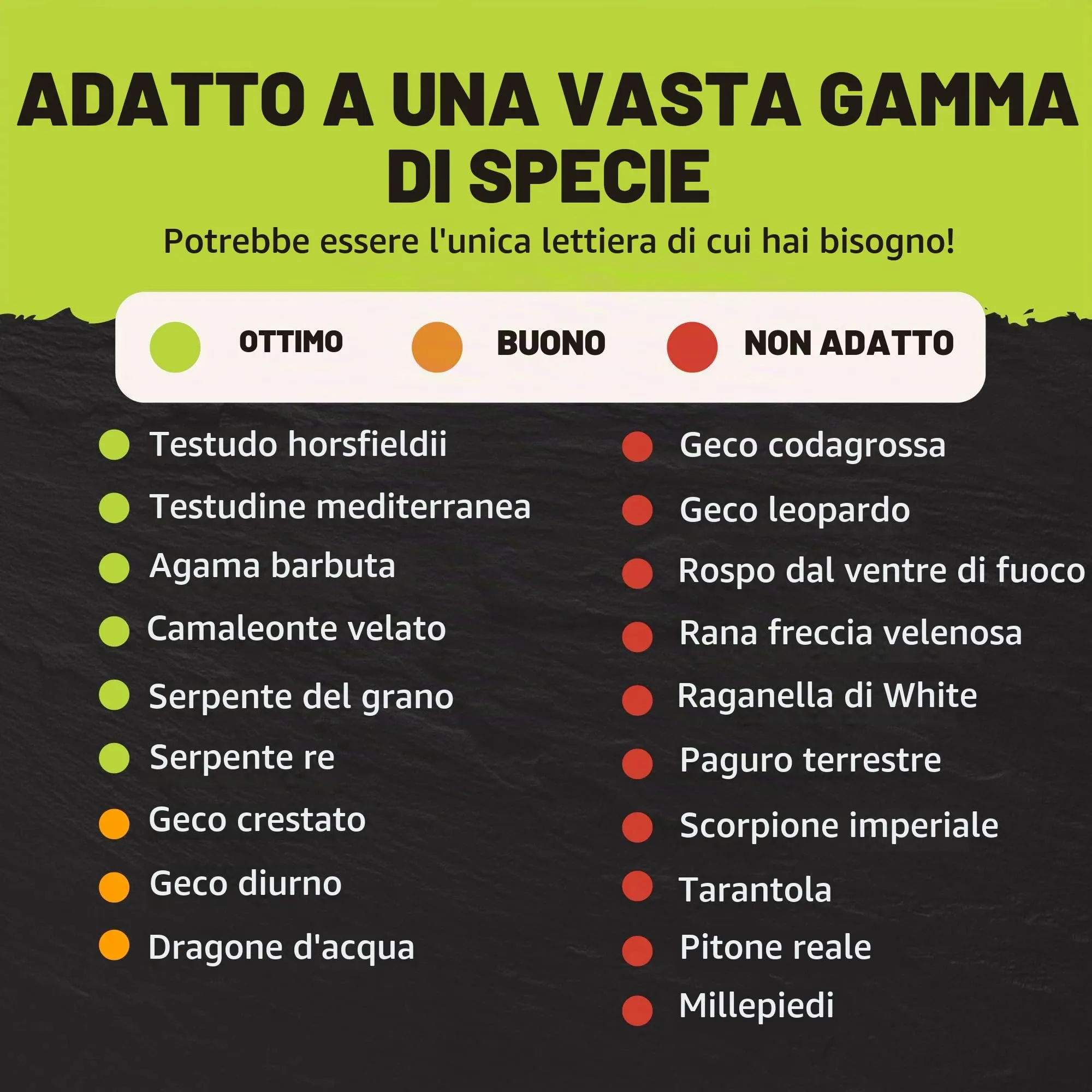 Komodo Substrato di faggio Grosso per Gabbia di rettili, Vivarium Habitat, Naturale, Non tossico, Durevole, a Lunga Durata, Controllo dell'umidità, 12 l - immagine 8