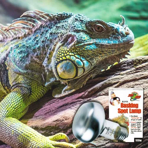 Zoo Med Repty Basking Spot Lamp - Lampada per terrari e rettilari diurna, 60 Watt, UVA, lampadina per rettili, tartarughe, rane e piante da terrario, con parabola interna - immagine 2