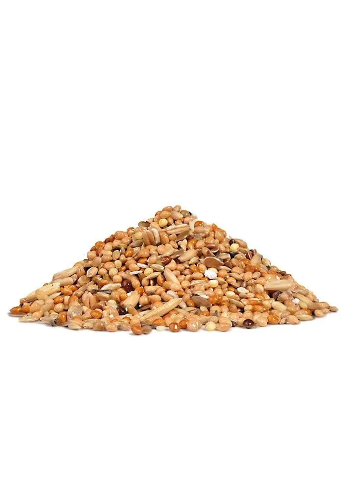 Mangime per muta | Semi per cocorite | 500 g | Con mix di semi - immagine 3