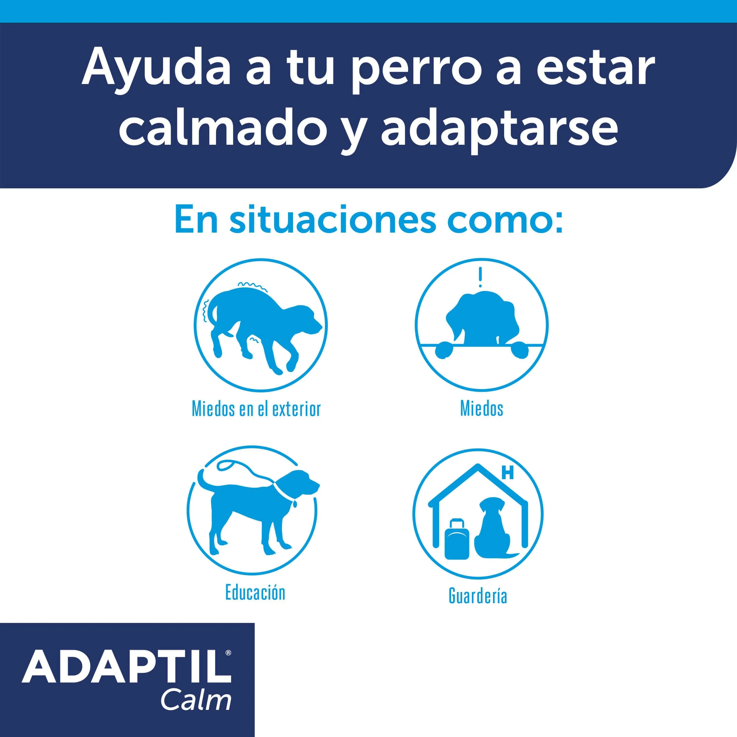 Adaptil Calm - Anti-stress per i cani - Paure, rumori forti, di apprendimento, di approvazione - Collare M/L per medie e cani di taglia grande - immagine 2
