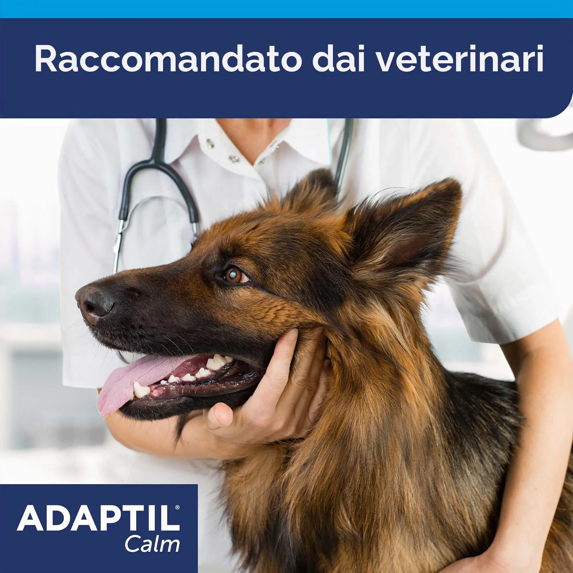 Adaptil Calm - Anti-stress per i cani - Paure, rumori forti, di apprendimento, di approvazione - Collare M/L per medie e cani di taglia grande - immagine 7