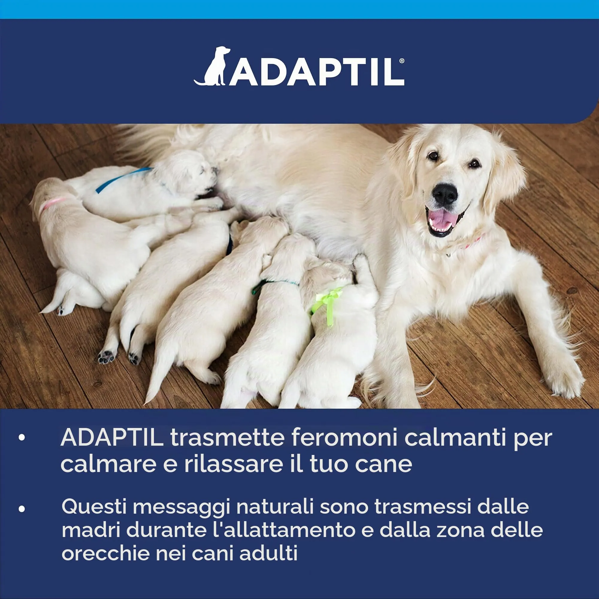 Adaptil Calm - Anti-stress per i cani - Paure, rumori forti, di apprendimento, di approvazione - Collare M/L per medie e cani di taglia grande - immagine 8