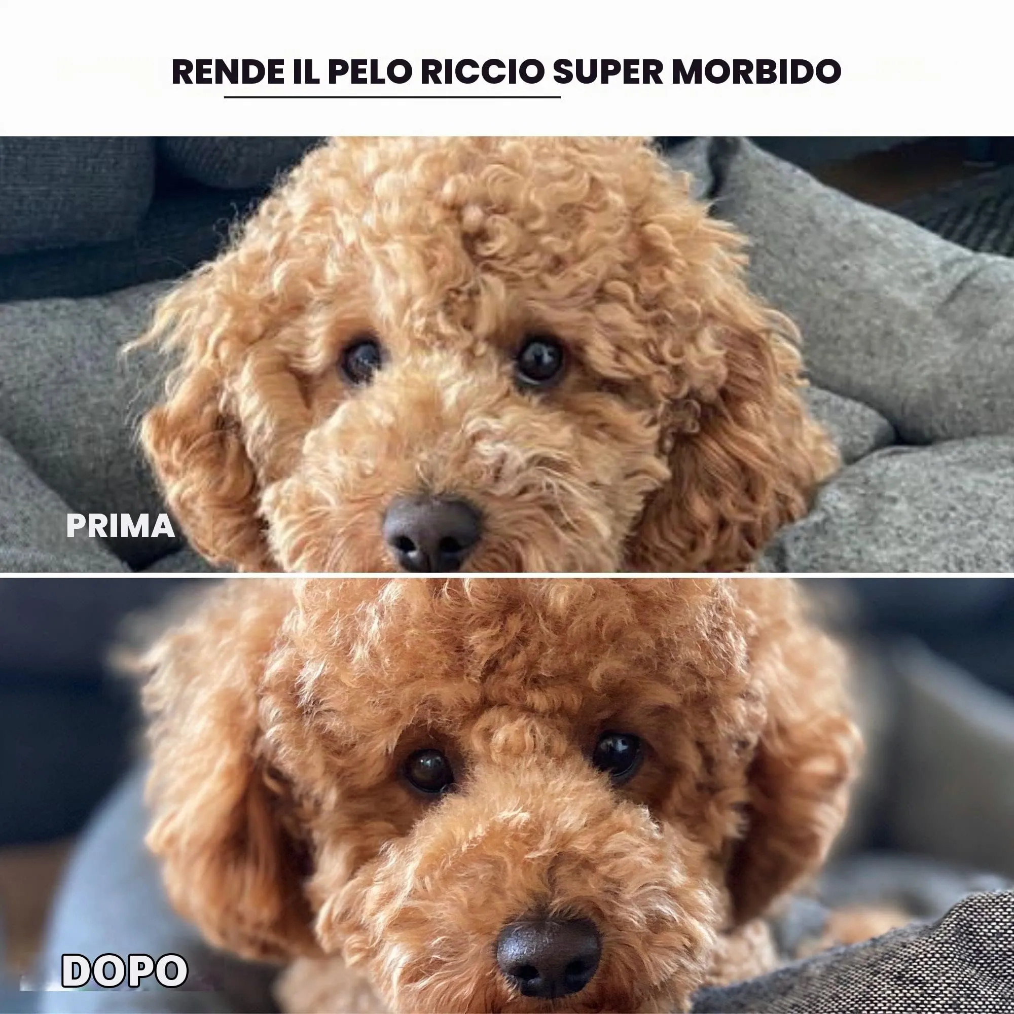 Spazzola morbida Moki Bär, per cani, barboncini, con gommini di protezione, per animali particolarmente sensibili, ideale per cani non pelosi, piccola - immagine 3