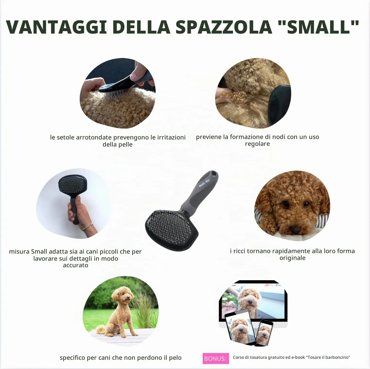 Spazzola morbida Moki Bär, per cani, barboncini, con gommini di protezione, per animali particolarmente sensibili, ideale per cani non pelosi, piccola - immagine 6