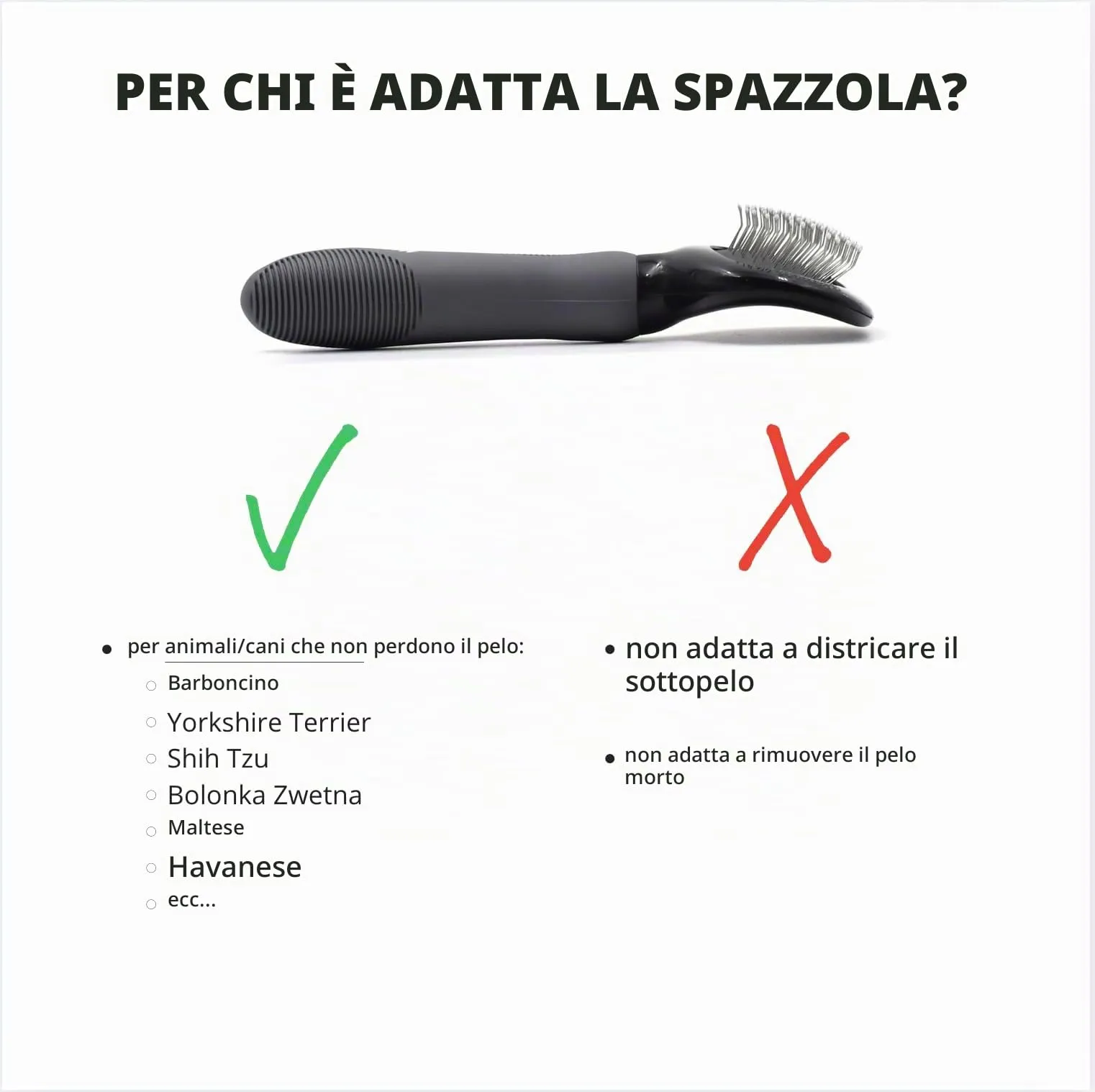 Spazzola morbida Moki Bär, per cani, barboncini, con gommini di protezione, per animali particolarmente sensibili, ideale per cani non pelosi, piccola - immagine 7