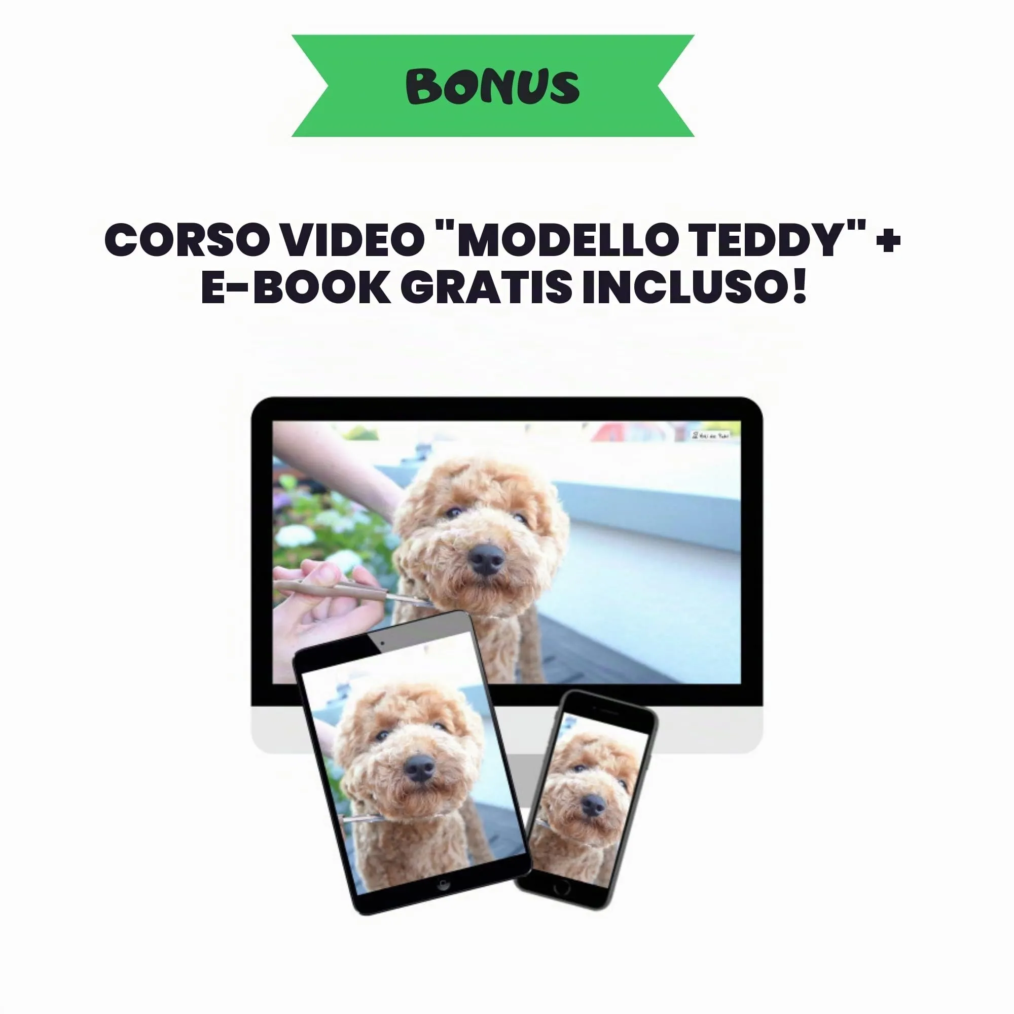 Spazzola morbida Moki Bär, per cani, barboncini, con gommini di protezione, per animali particolarmente sensibili, ideale per cani non pelosi, piccola - immagine 9