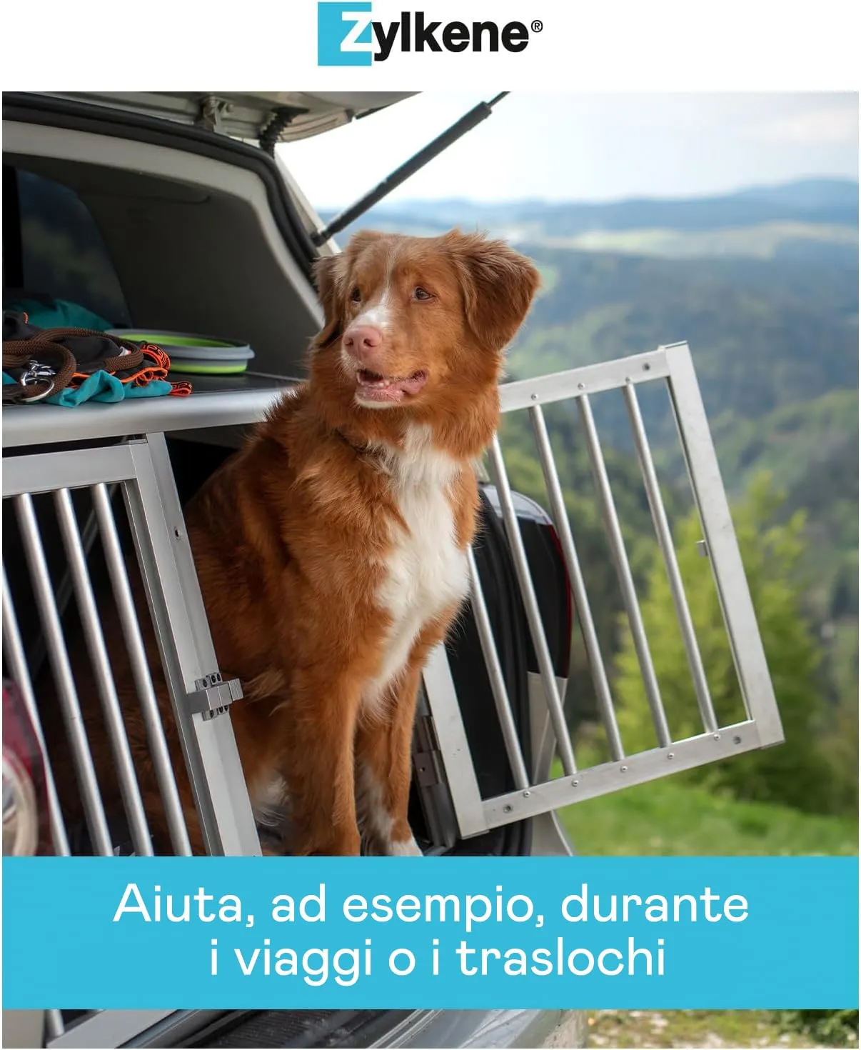 Zylkene Mangime Complementare | Cani di taglia grande (15-60 kg) 450 mg | Promuove il rilassamento nelle situazioni di disagio nel breve termine: Rumori forti, Visite veterinarie | 100 capsule - immagine 5