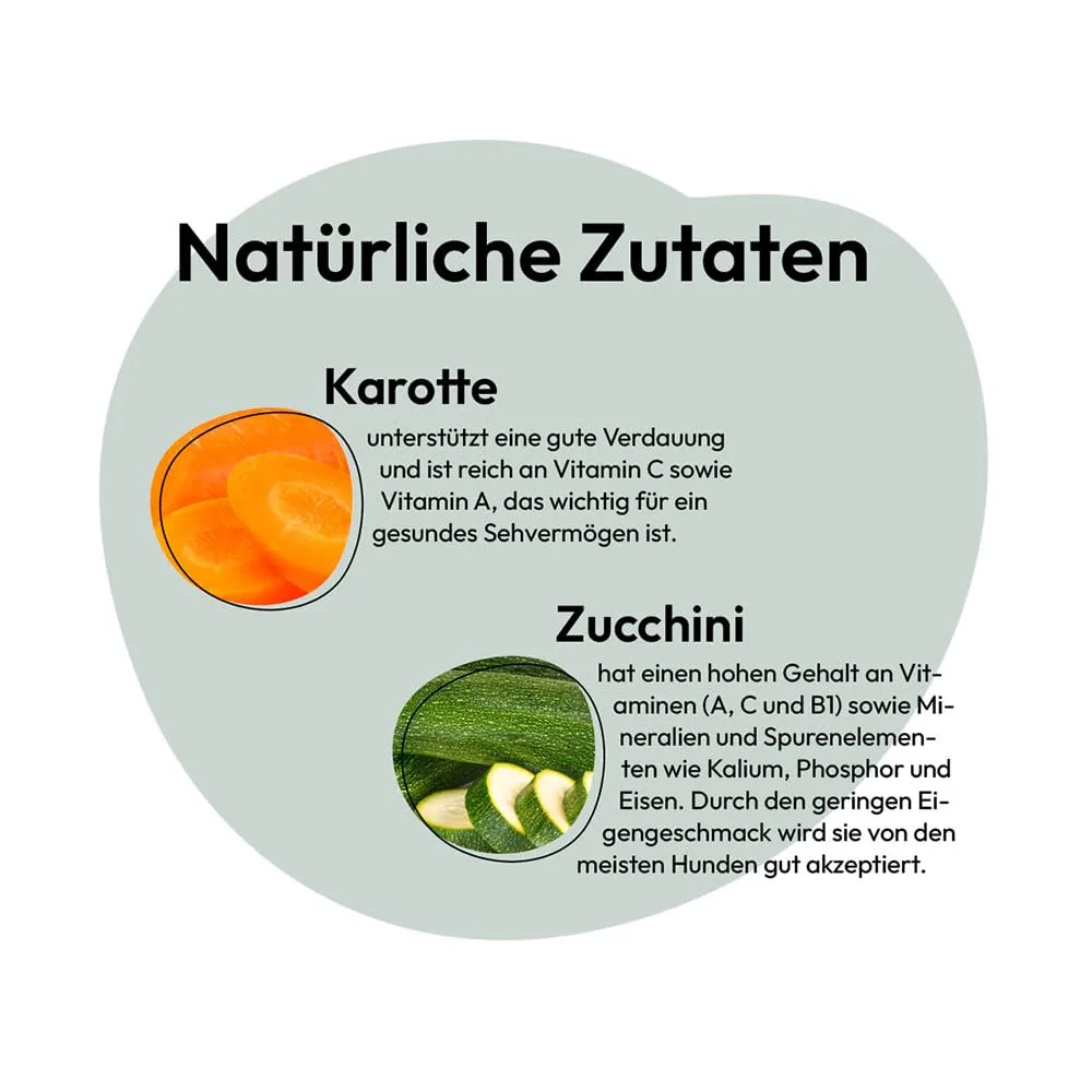 GRAU L’originale, Miscela di verdure essiccate per un’alimentazione naturale integrata (BARF), “Composto n. 2”, integratore alimentare per cani, 1 confezione da 150 g - immagine 3