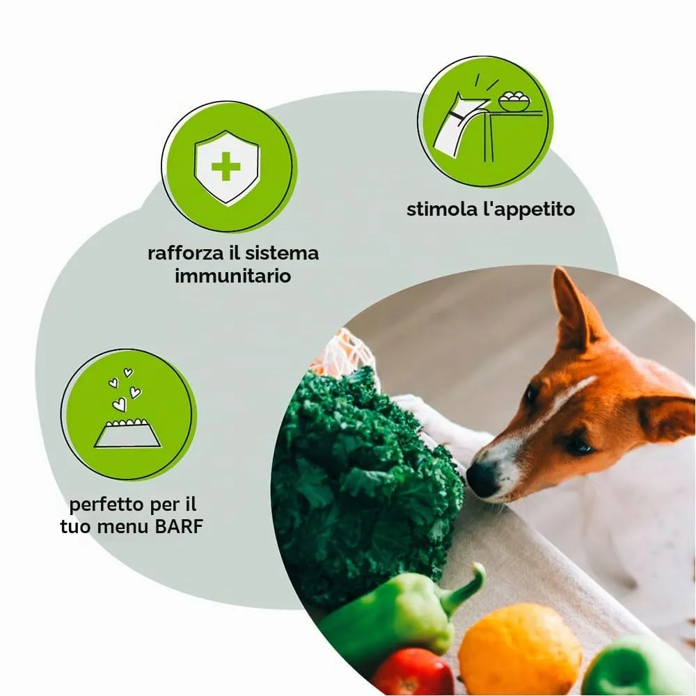 GRAU L’originale, Miscela di verdure essiccate per un’alimentazione naturale integrata (BARF), “Composto n. 2”, integratore alimentare per cani, 1 confezione da 150 g - immagine 5