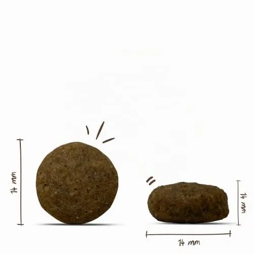 bosch HPC Junior con agnello e riso | Cibo secco per cani per allevare cuccioli sensibili dal punto di vista nutrizionale | 1 x 1000 g - immagine 3
