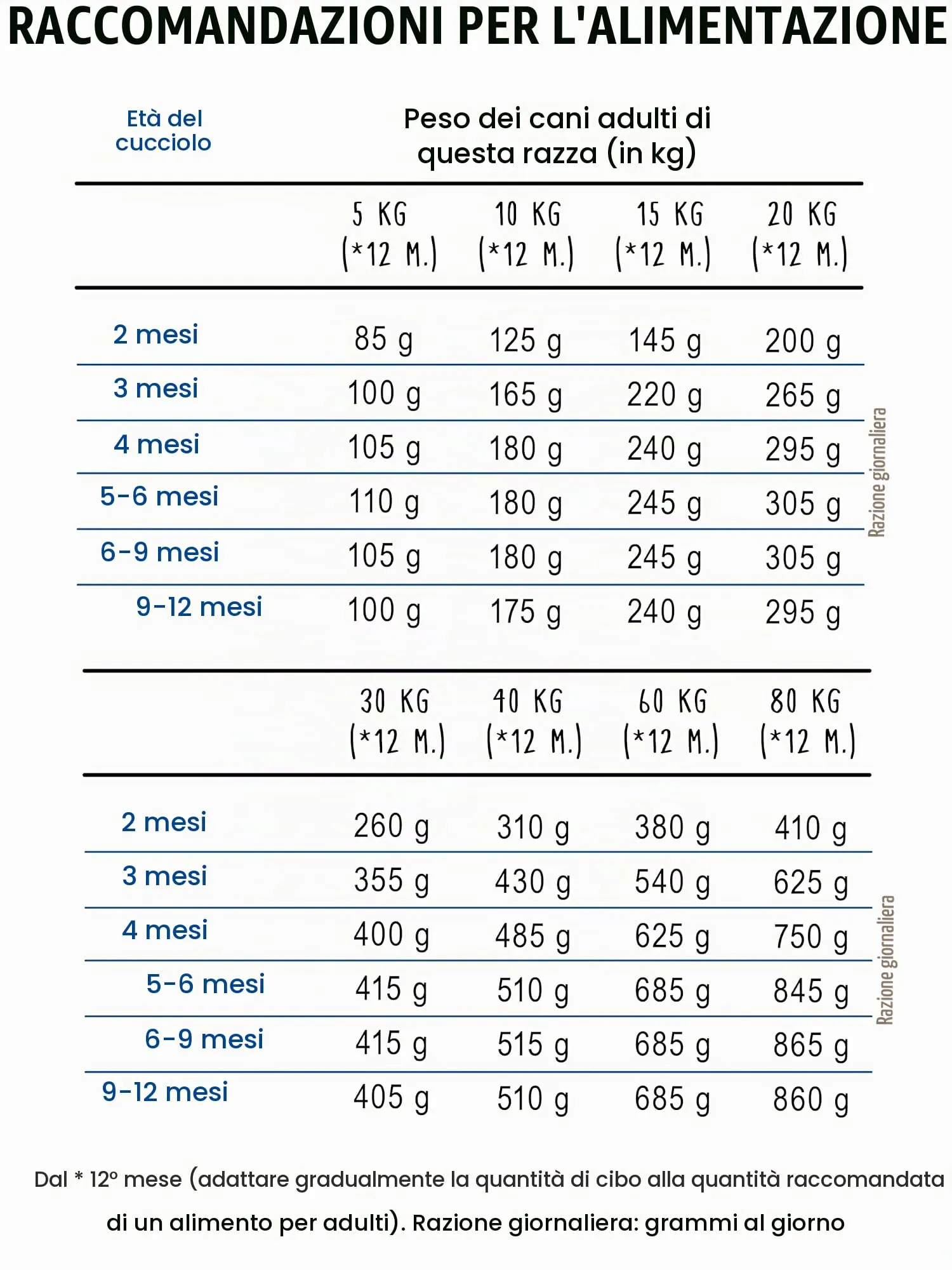 bosch HPC Junior con agnello e riso | Cibo secco per cani per allevare cuccioli sensibili dal punto di vista nutrizionale | 1 x 1000 g - immagine 5