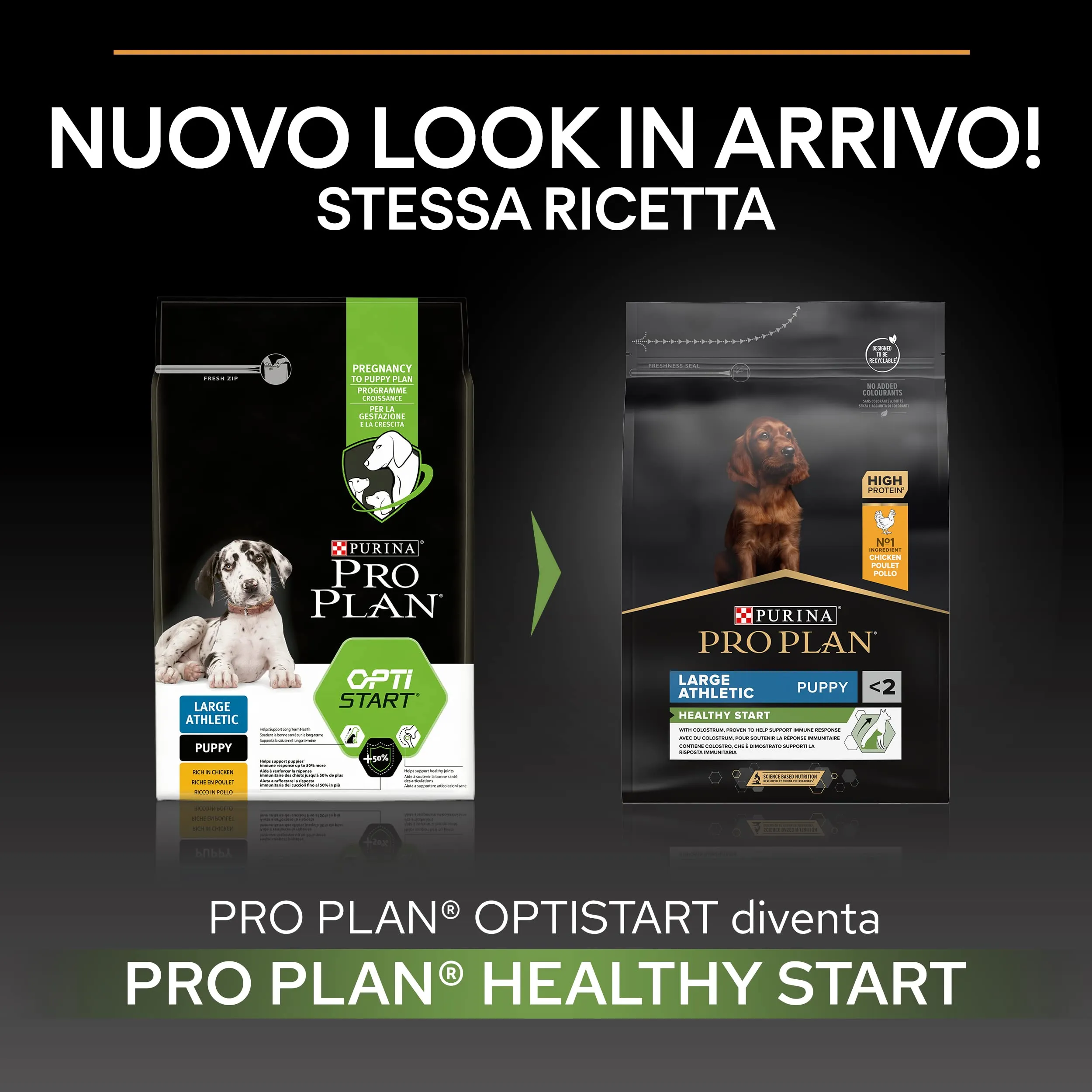 PURINA PRO PLAN Healthy Start Large Athletic Crocchette per Cani Cuccioli con Pollo 4 Sacchi da 3kg - immagine 3